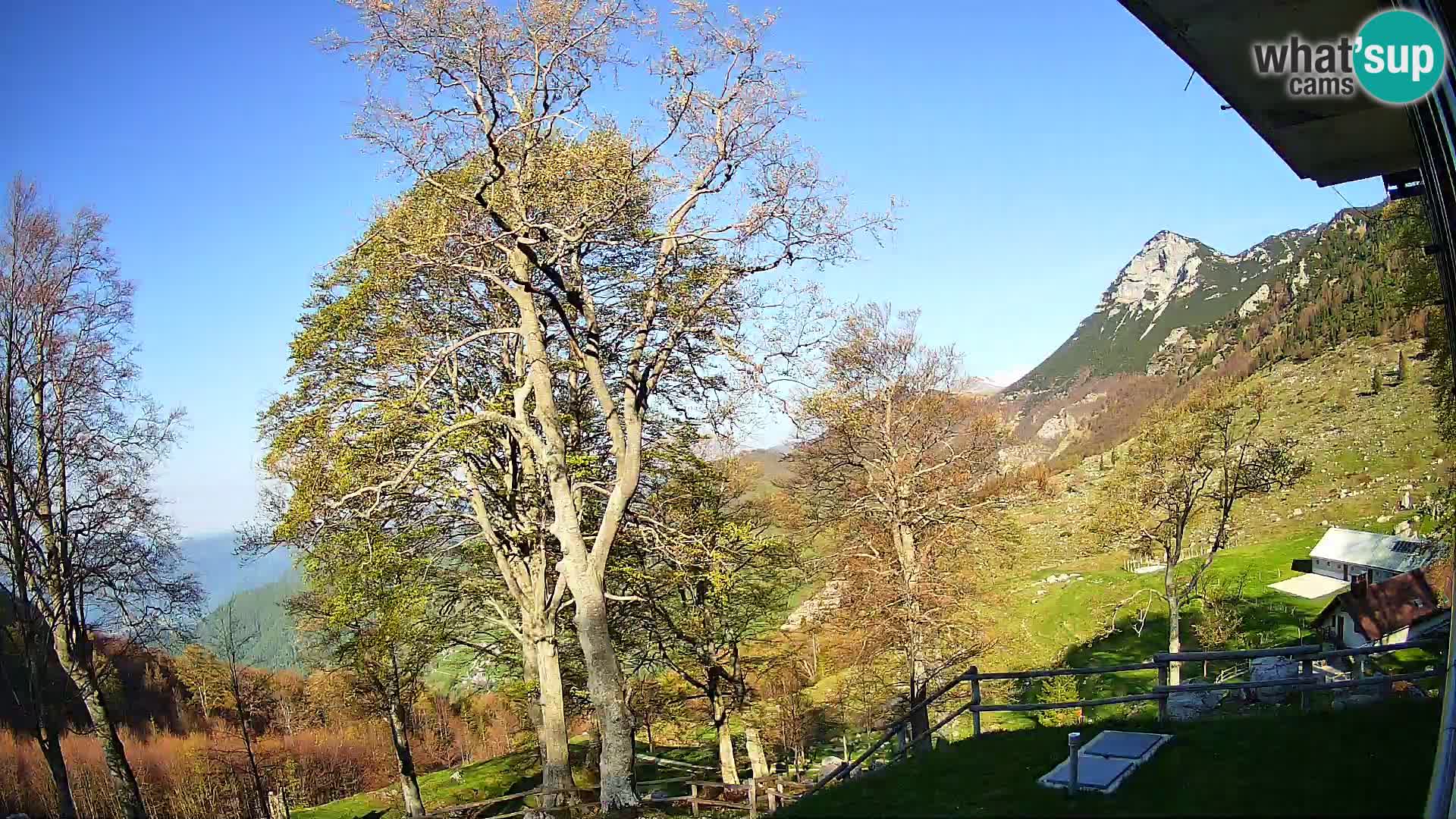Planina Razor Mountain Hut live cam (1315) | view to Tolminski Migovec