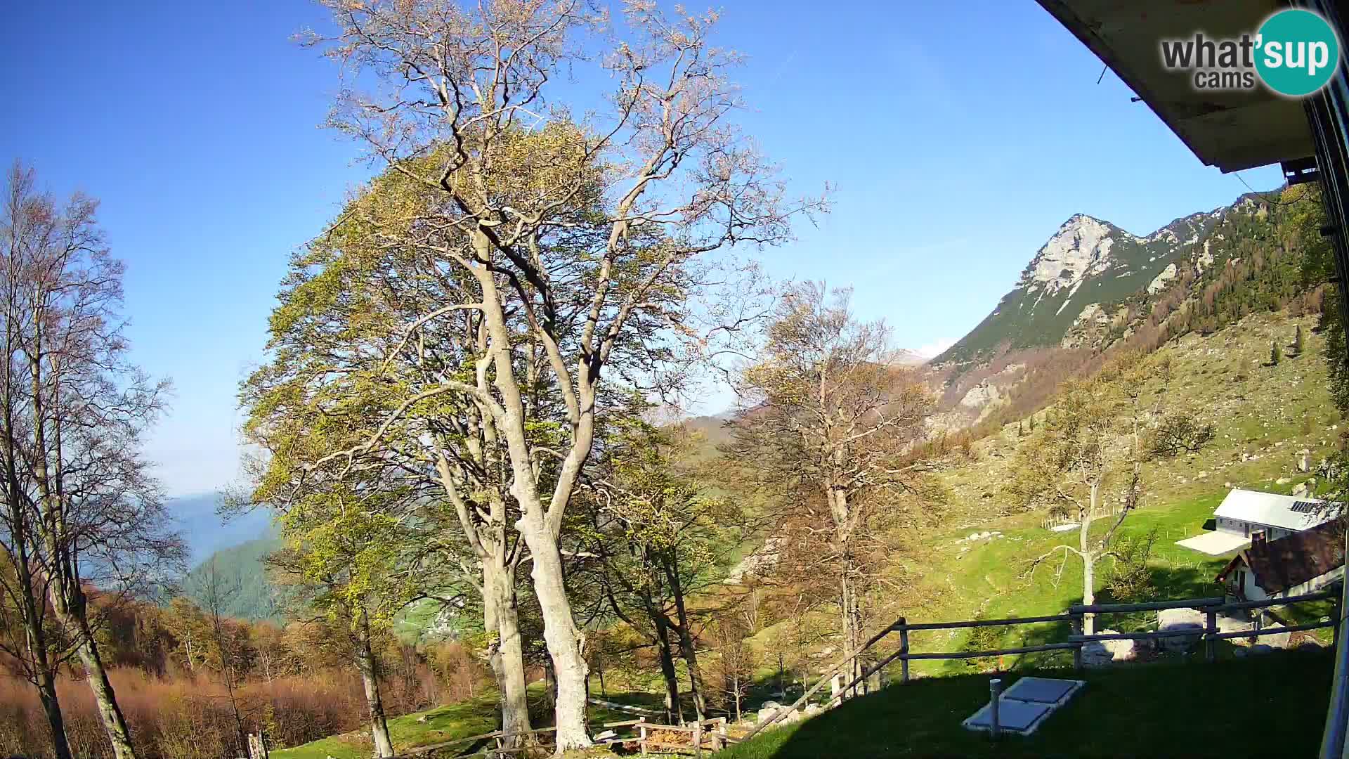 Planina Razor Mountain Hut live cam (1315) | view to Tolminski Migovec