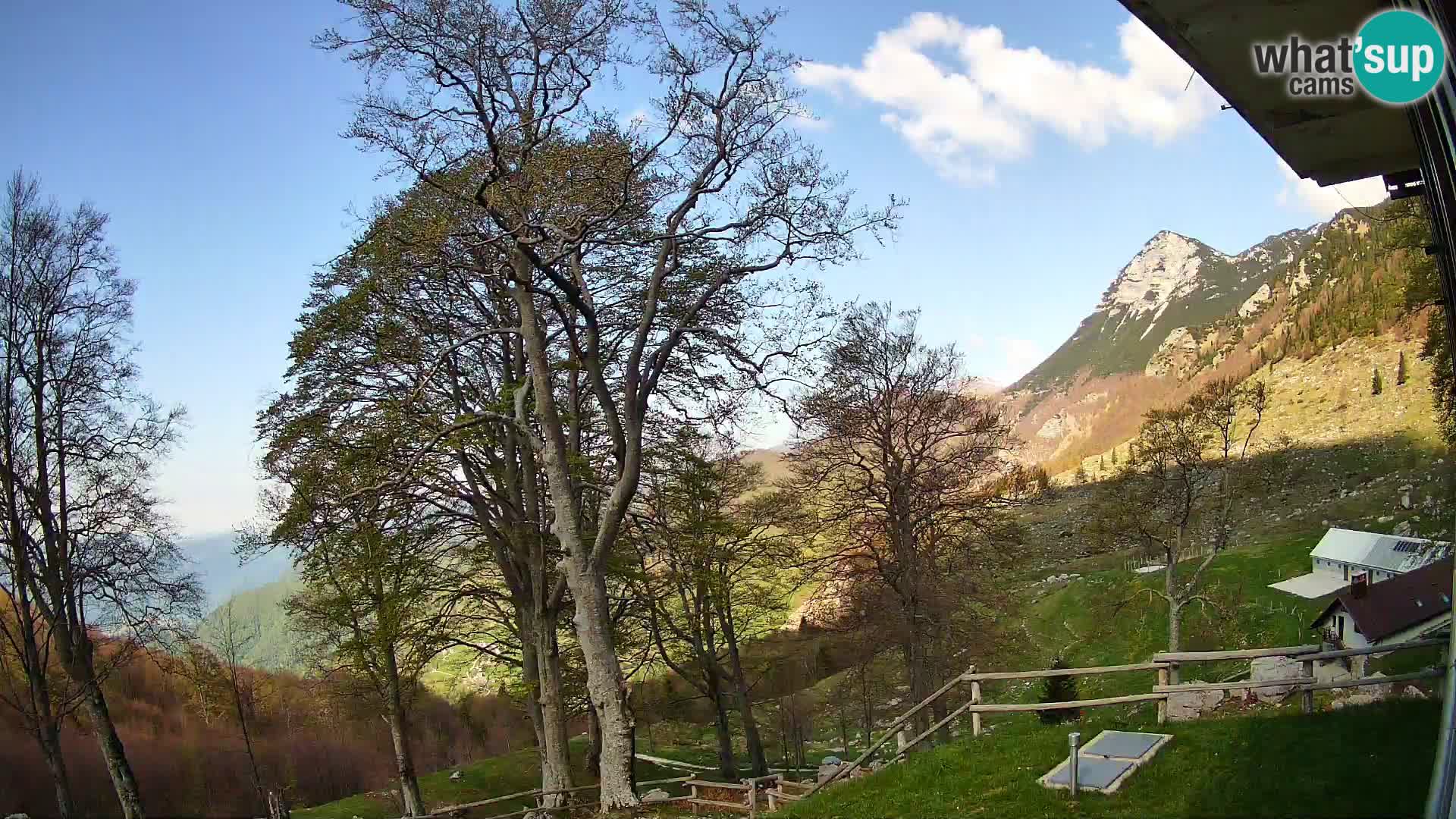 Baita di montagna Planina Razor webcam (1315) | vista su Tolminski Migovec