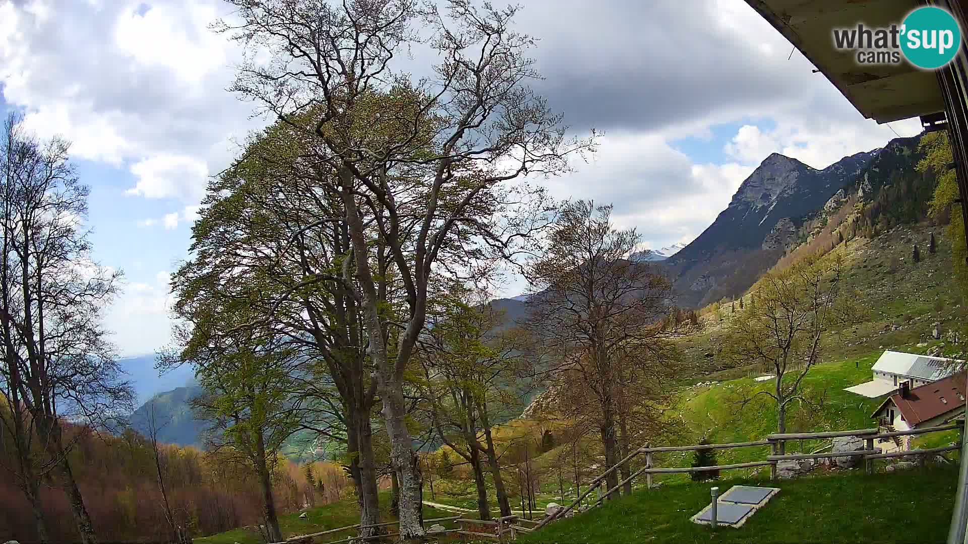 Planina Razor Bergütte Webcam (1315) | Blick auf Tolminski Migovec