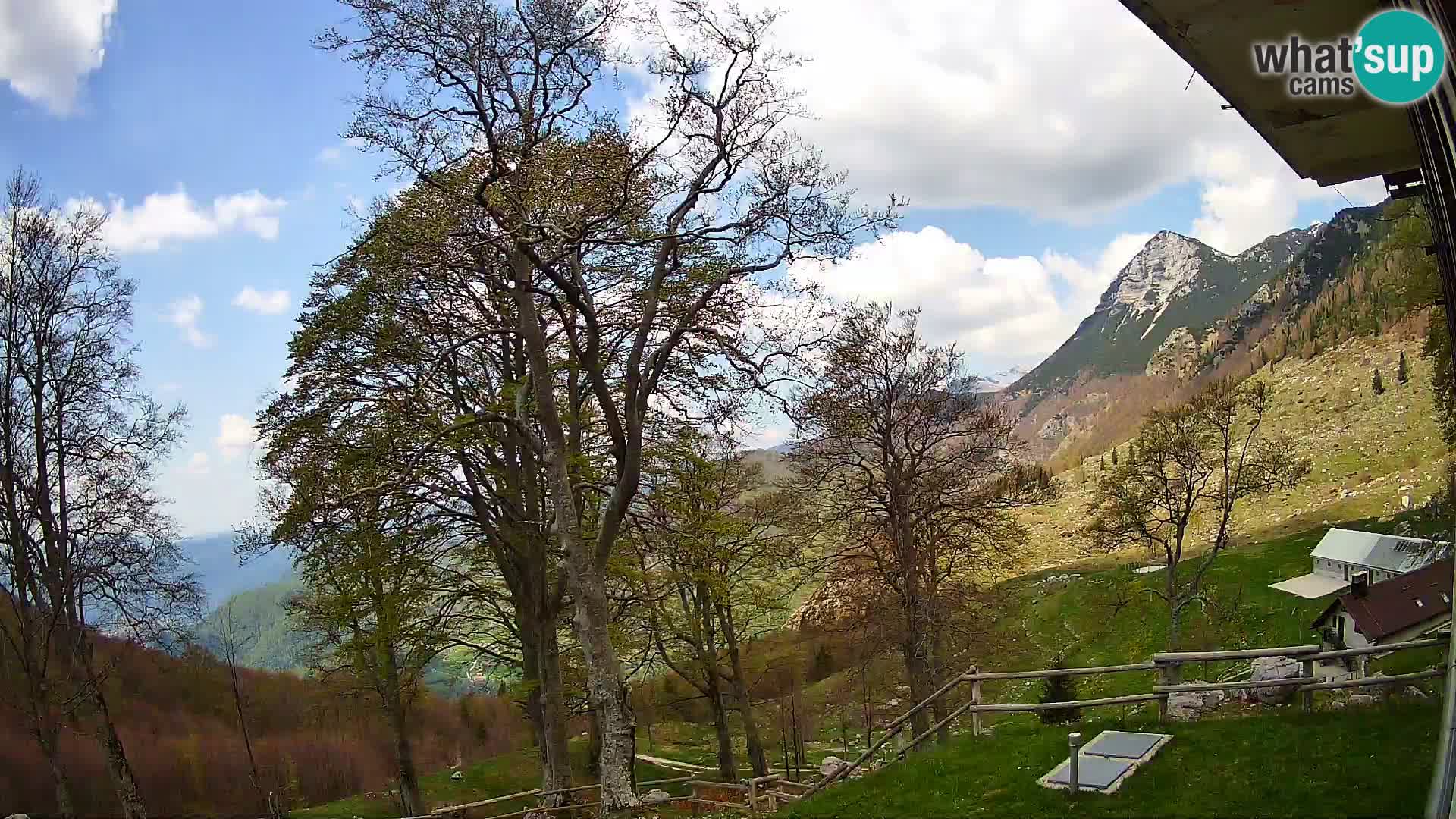 Baita di montagna Planina Razor webcam (1315) | vista su Tolminski Migovec
