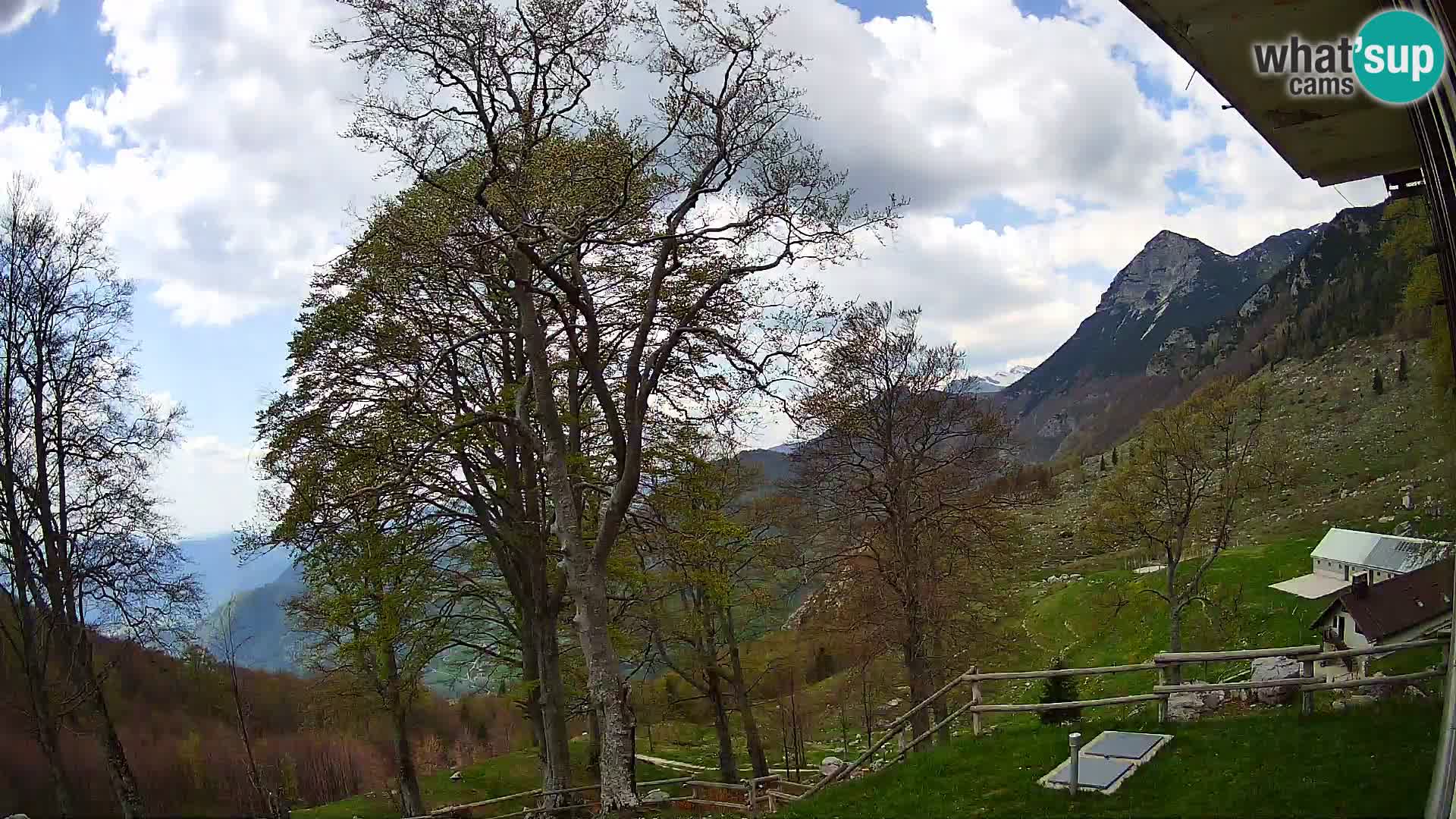 Planina Razor Bergütte Webcam (1315) | Blick auf Tolminski Migovec