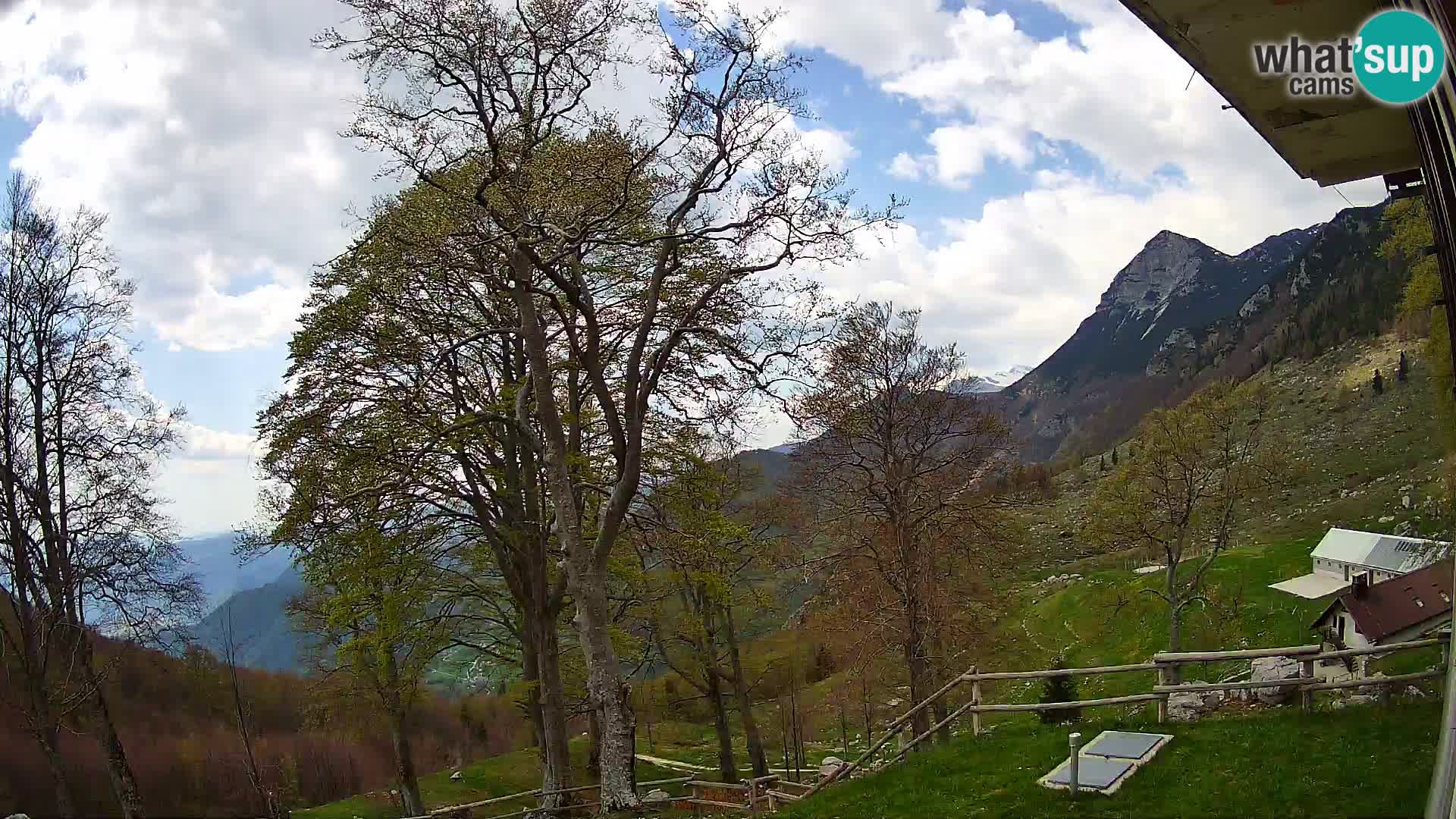 Planina Razor Mountain Hut live cam (1315) | view to Tolminski Migovec