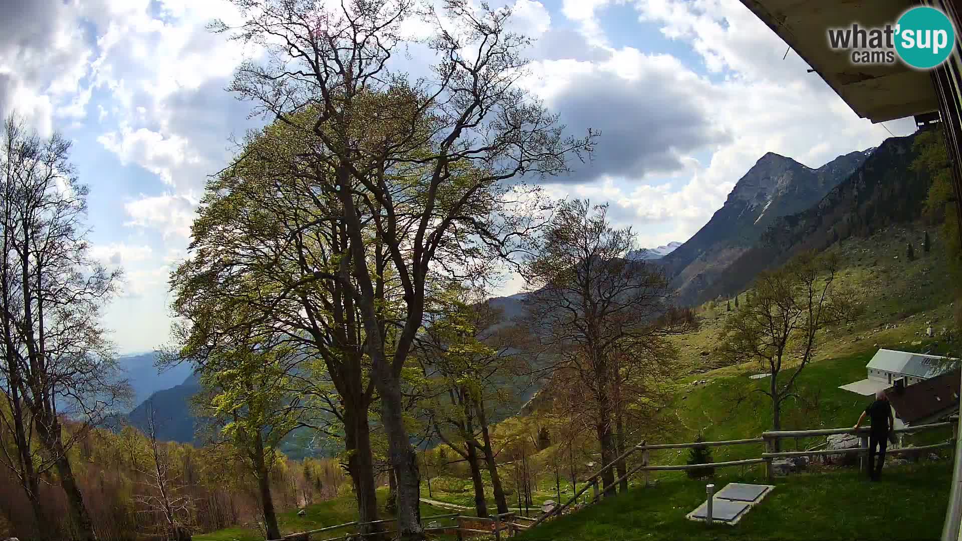 Planina Razor Bergütte Webcam (1315) | Blick auf Tolminski Migovec