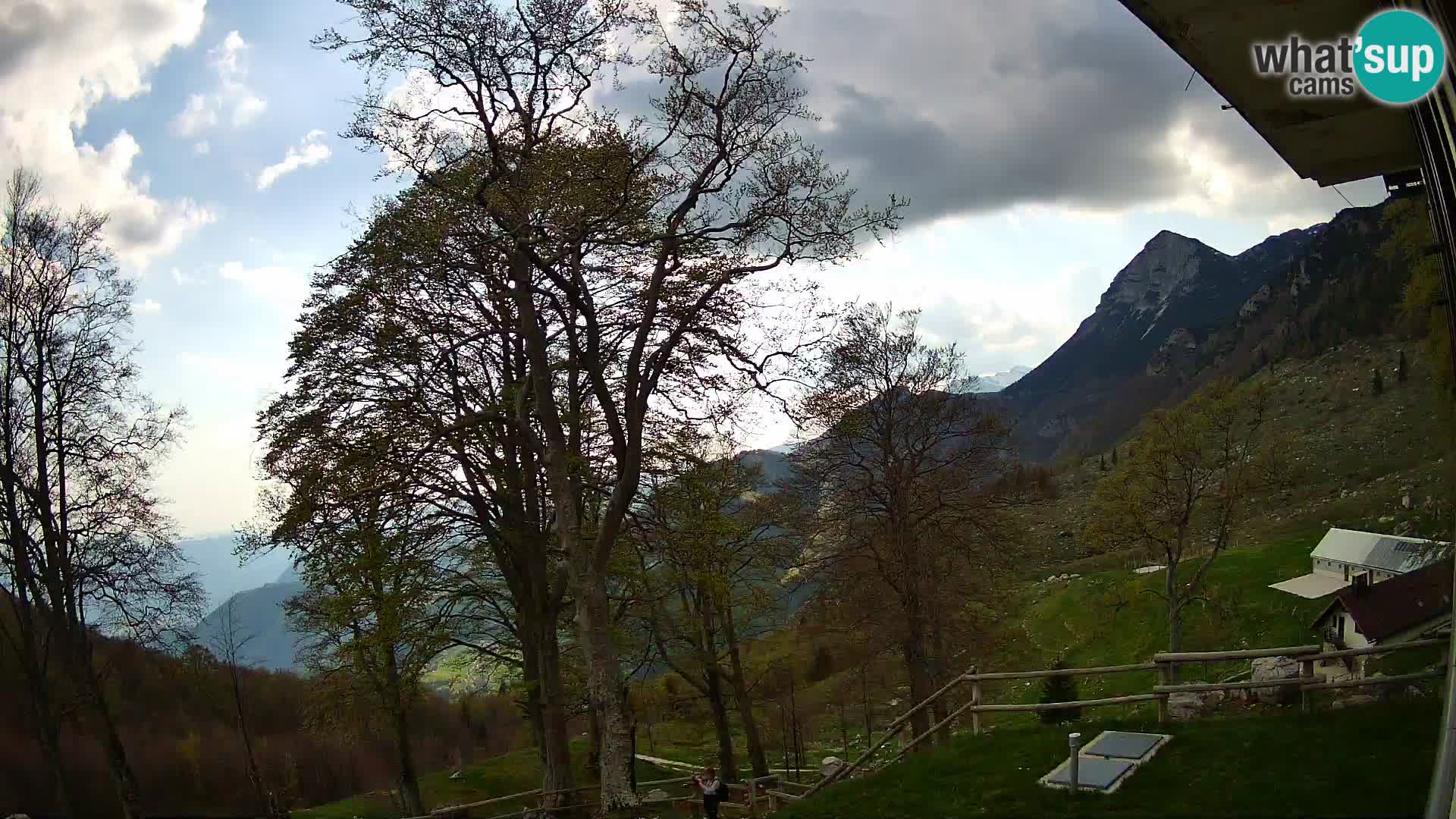 Baita di montagna Planina Razor webcam (1315) | vista su Tolminski Migovec