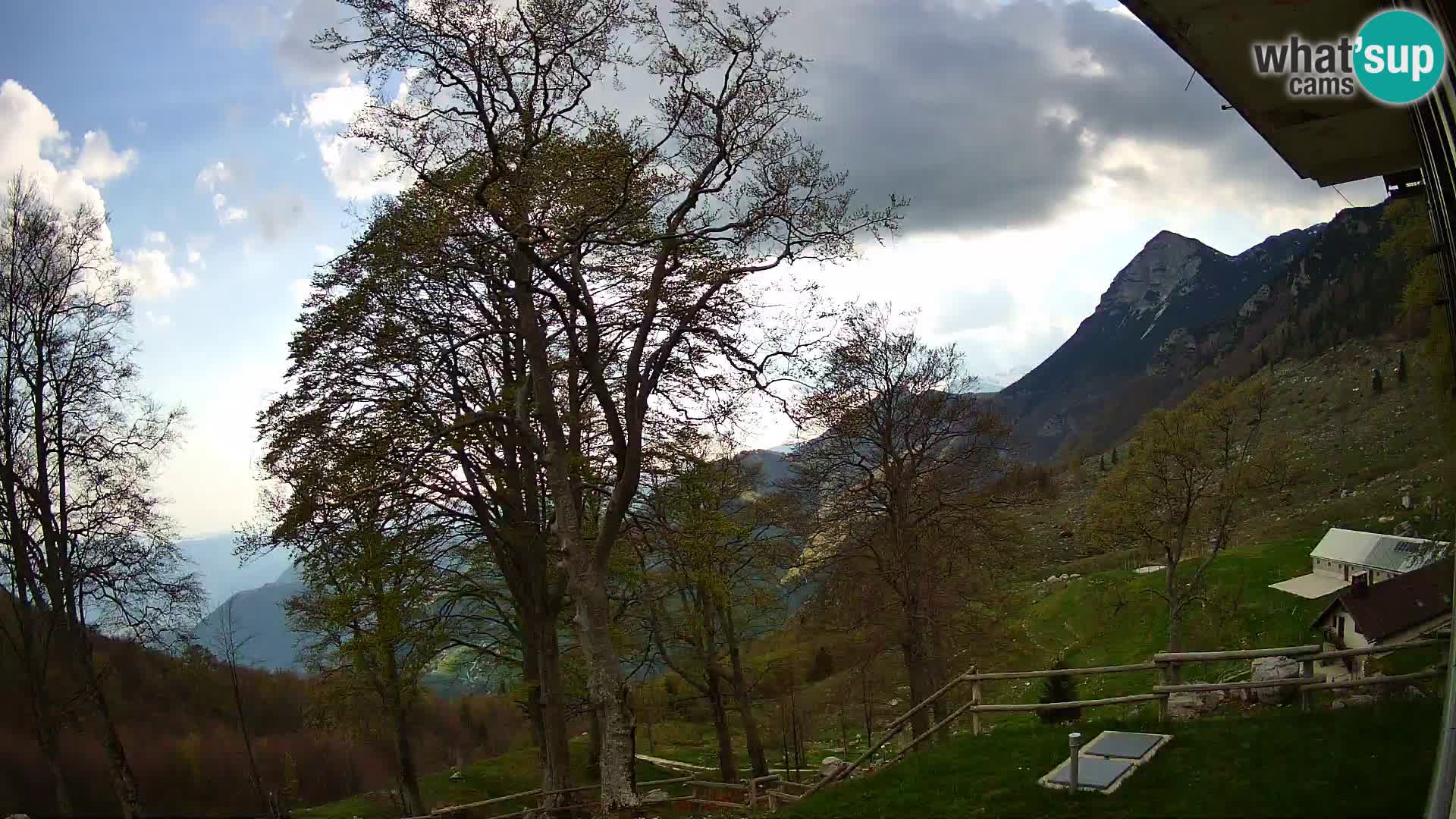 Baita di montagna Planina Razor webcam (1315) | vista su Tolminski Migovec