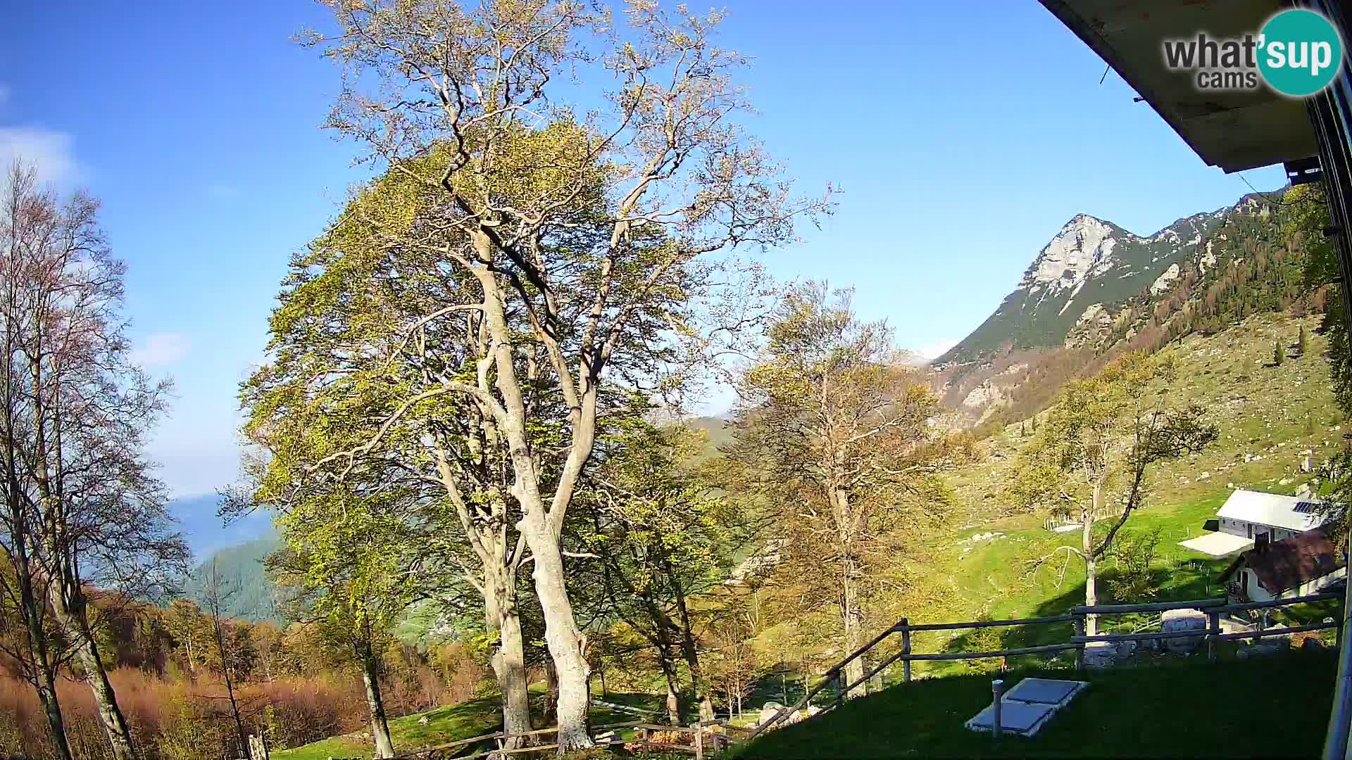 Refuge de la montagne Planina Razor caméra en direct (1315) | vue sur Tolminski Migovec