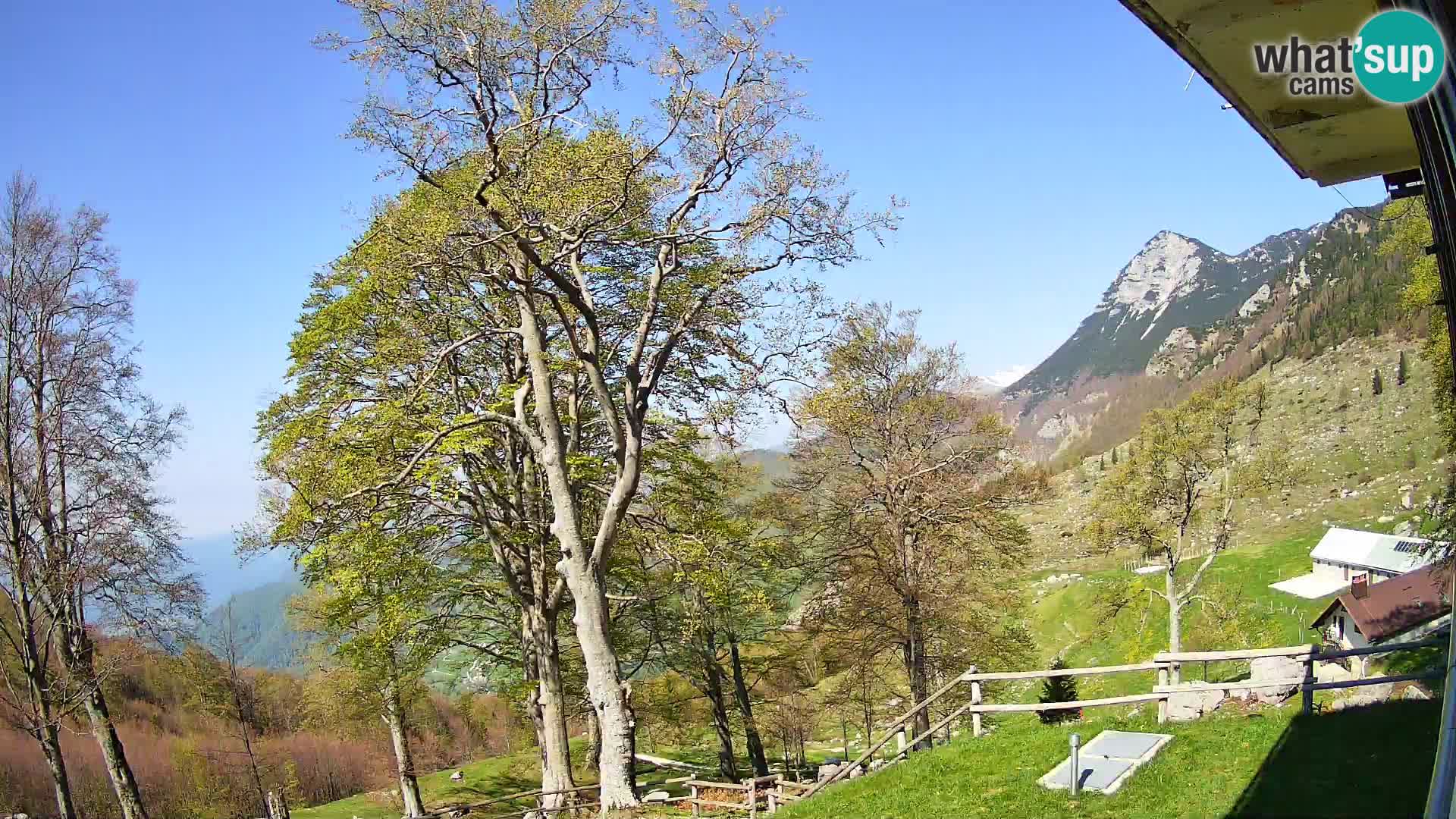 Planinarski dom na planini Razor (1315) | Pogled na Tolminski Migovec