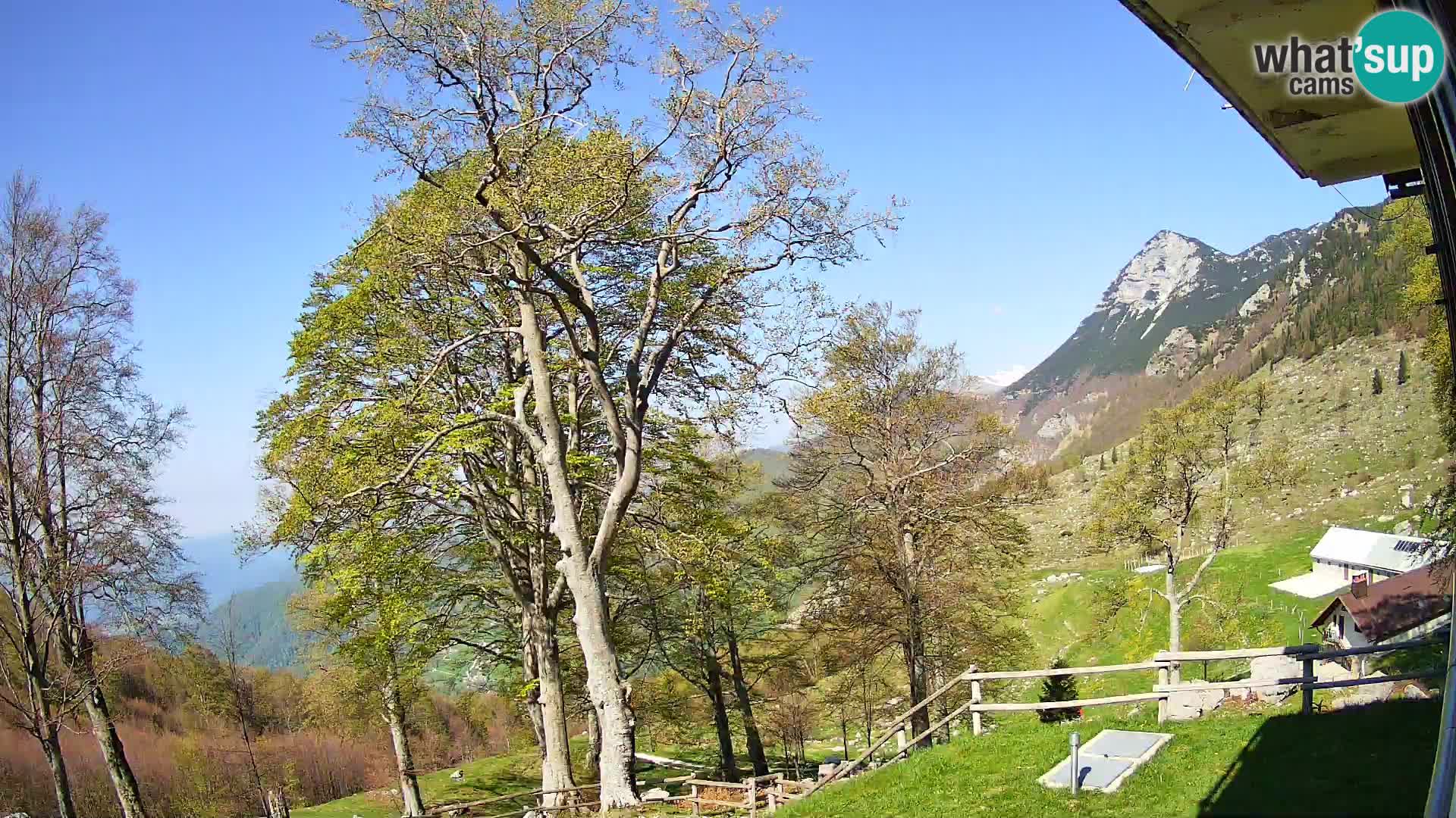 Planina Razor Mountain Hut live cam (1315) | view to Tolminski Migovec