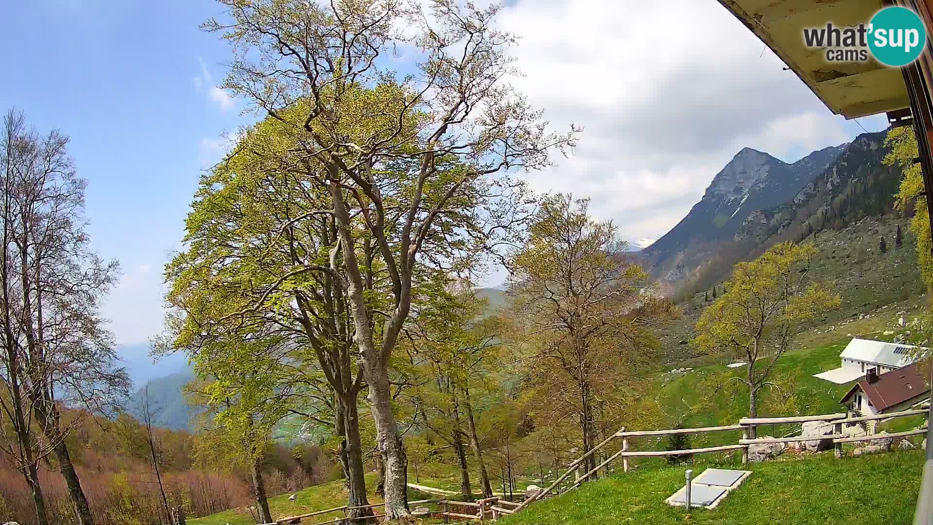 Planina Razor Mountain Hut live cam (1315) | view to Tolminski Migovec