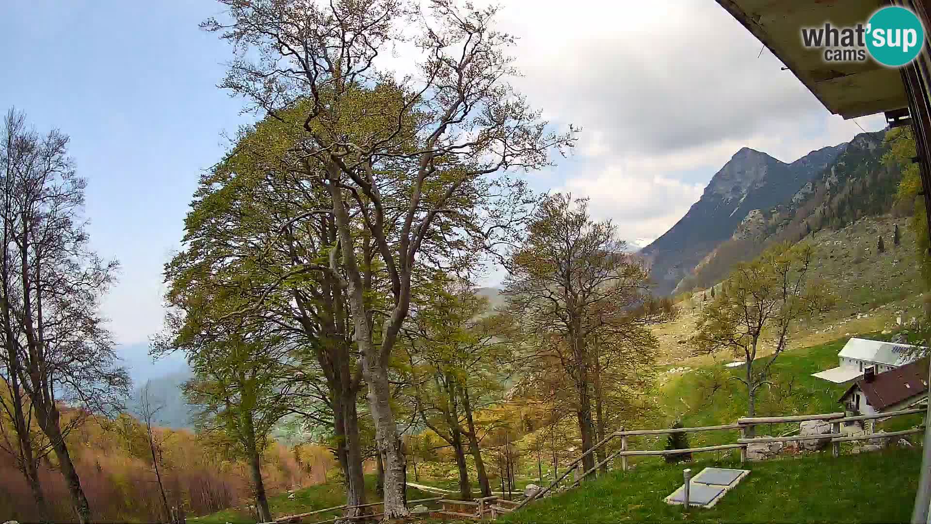 Planina Razor Mountain Hut live cam (1315) | view to Tolminski Migovec