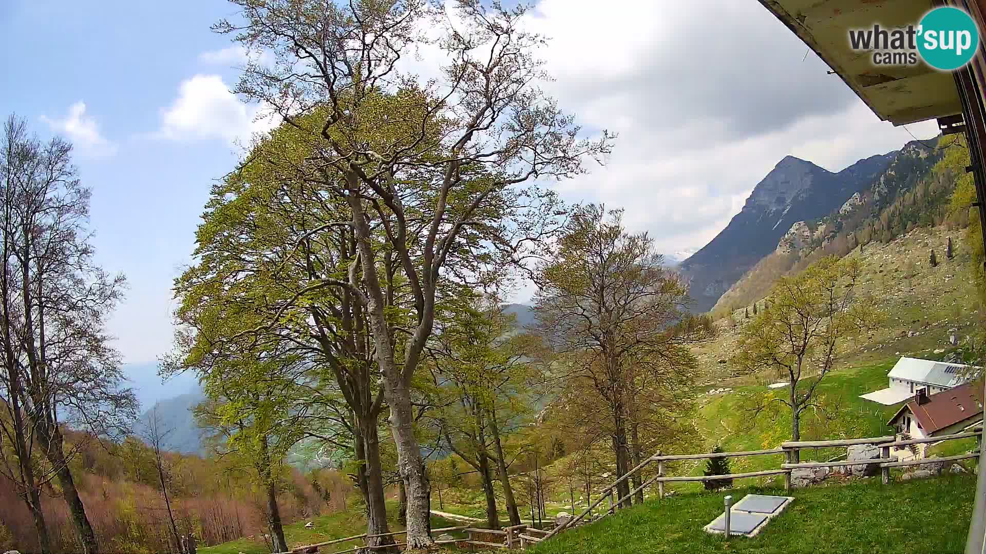 Planina Razor Mountain Hut live cam (1315) | view to Tolminski Migovec