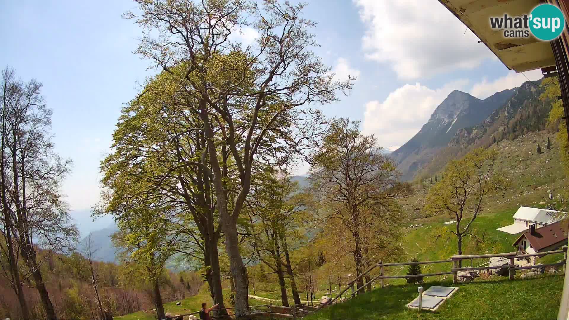 Cámara en vivo de la cabaña de montaña Planina Razor (1315) | vista hacia Tolminski Migovec