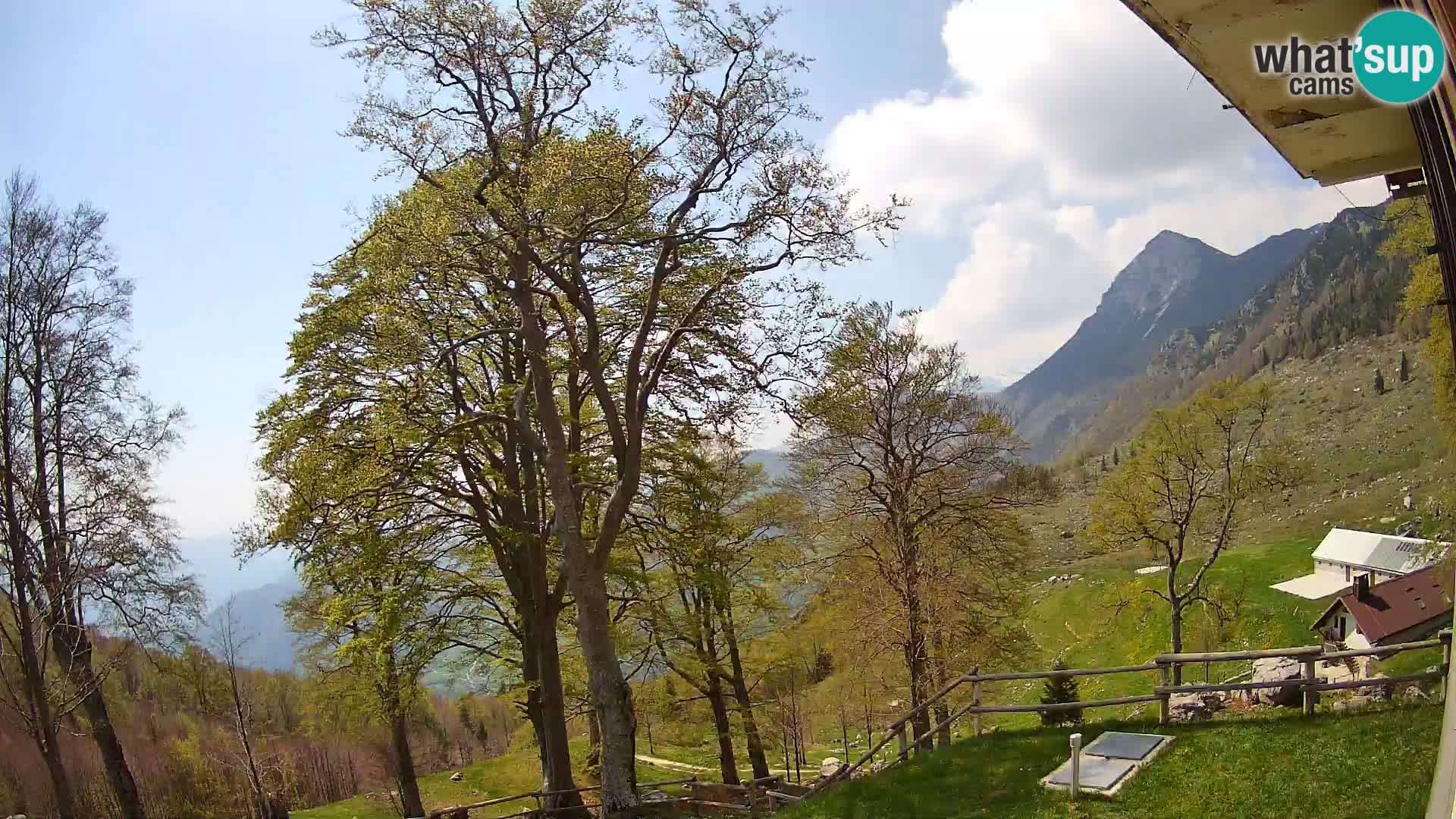 Refuge de la montagne Planina Razor caméra en direct (1315) | vue sur Tolminski Migovec