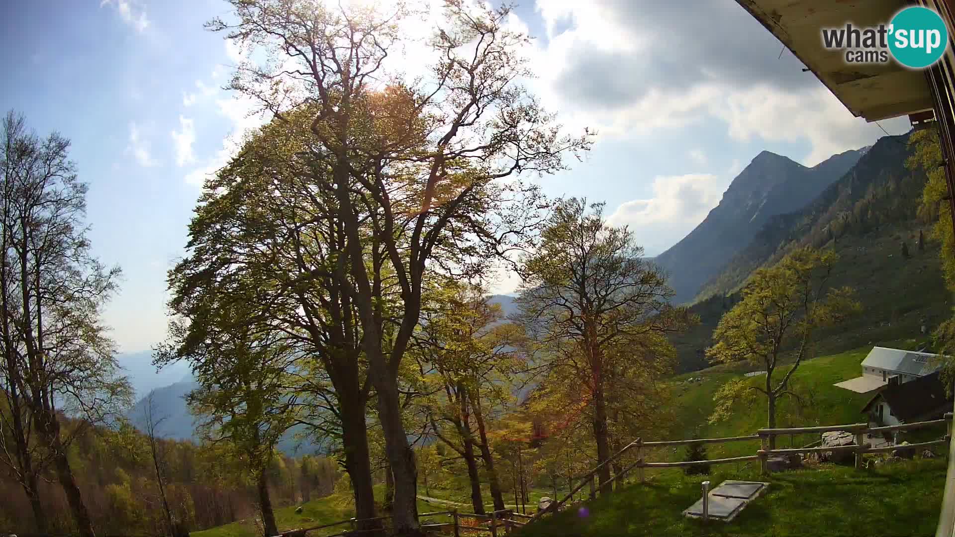 Planina Razor Mountain Hut live cam (1315) | view to Tolminski Migovec