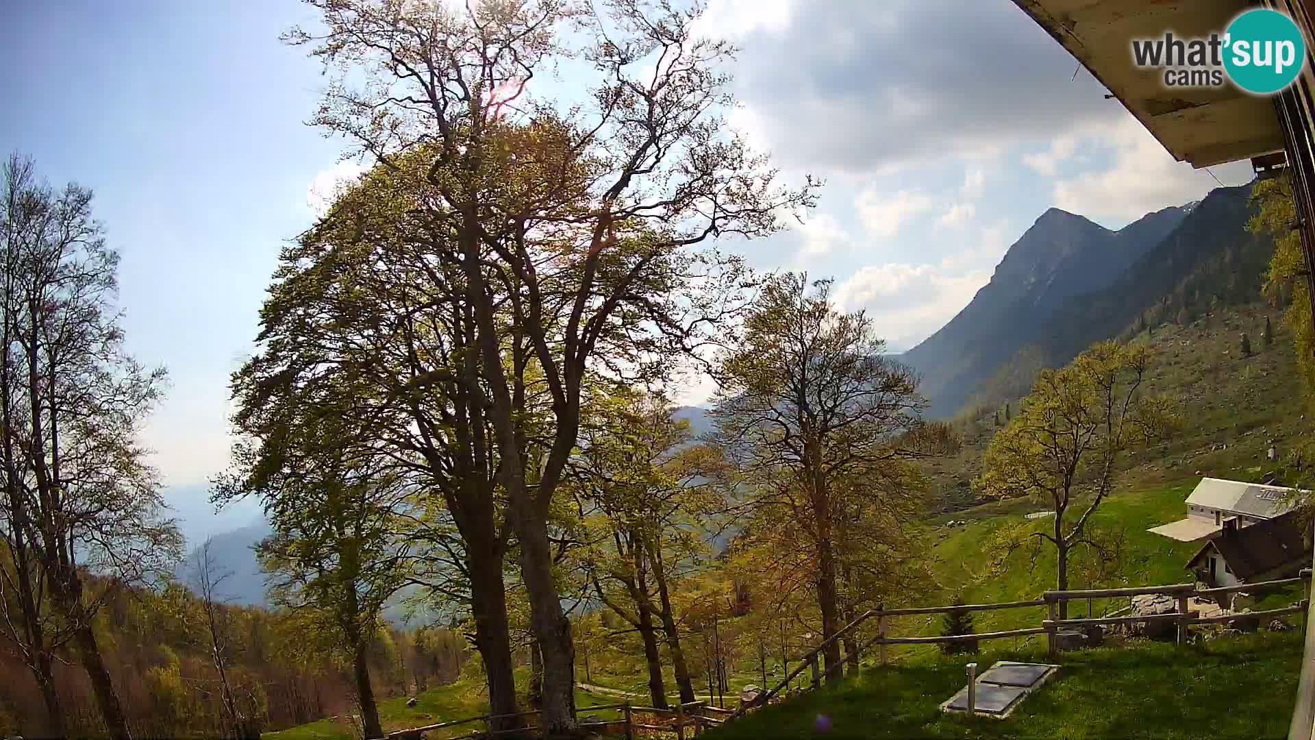 Planina Razor Mountain Hut live cam (1315) | view to Tolminski Migovec