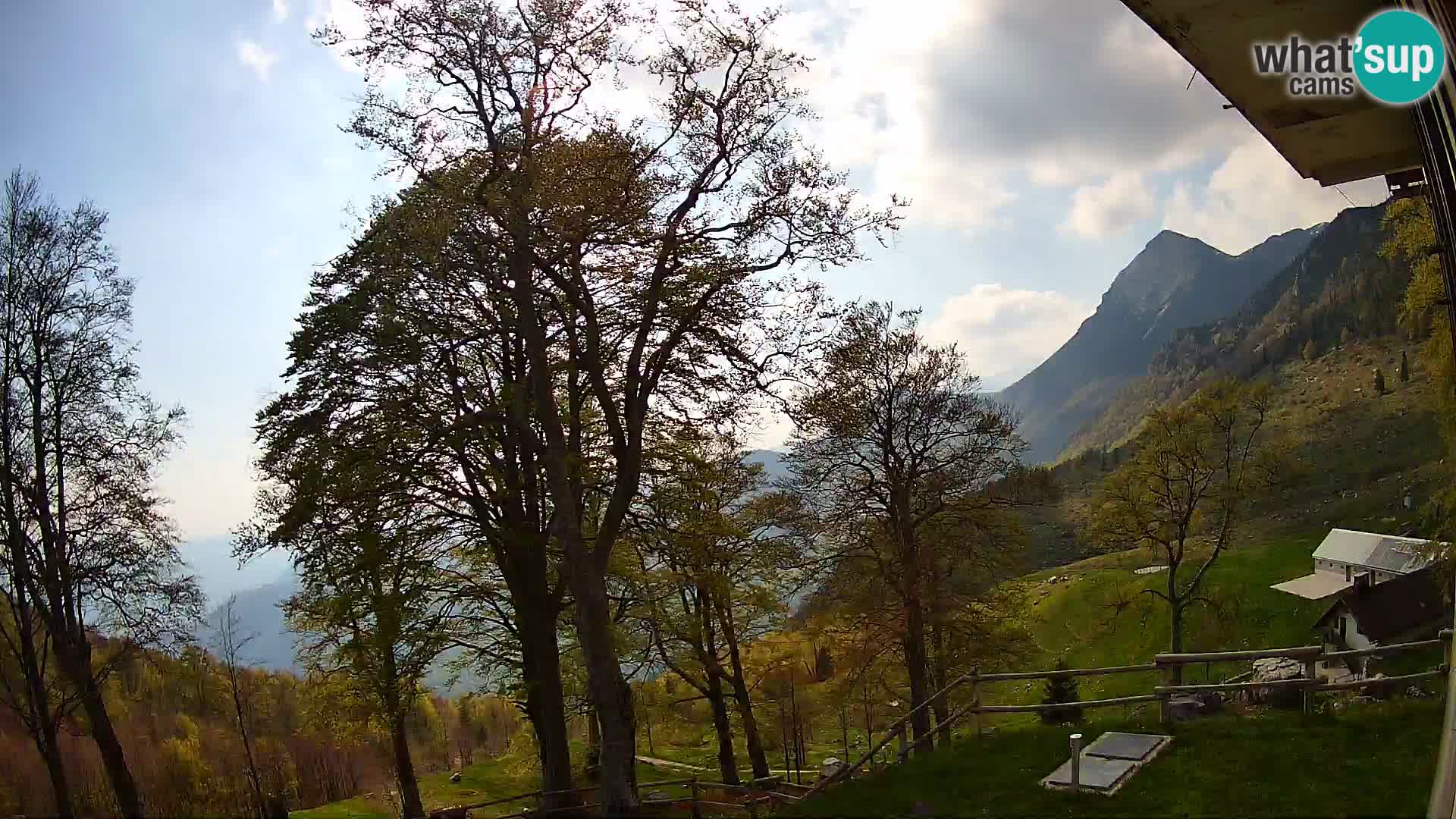 Baita di montagna Planina Razor webcam (1315) | vista su Tolminski Migovec