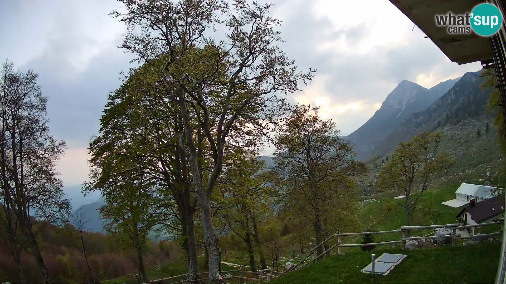 Planina Razor Mountain Hut live cam (1315) | view to Tolminski Migovec