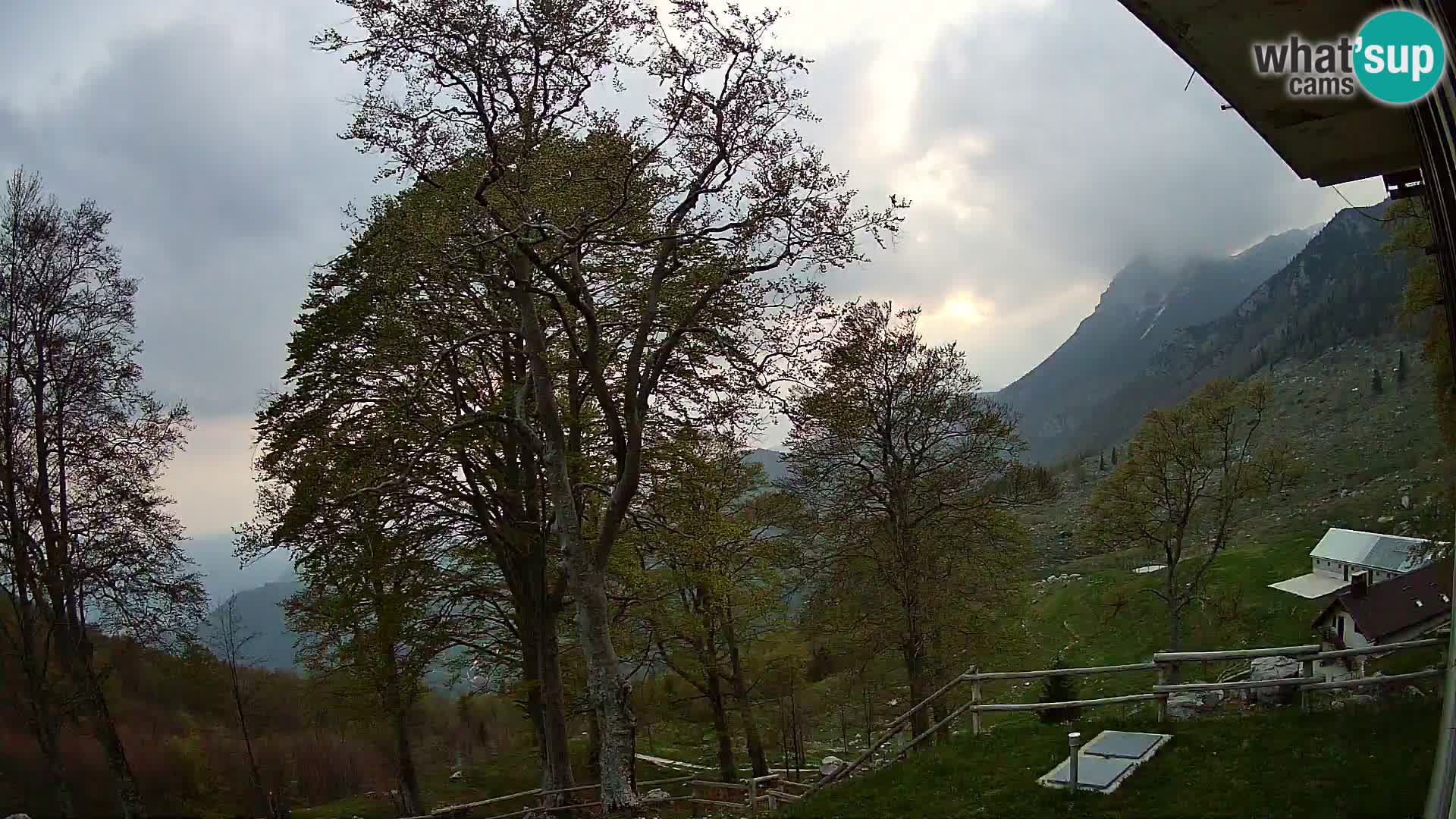 Baita di montagna Planina Razor webcam (1315) | vista su Tolminski Migovec