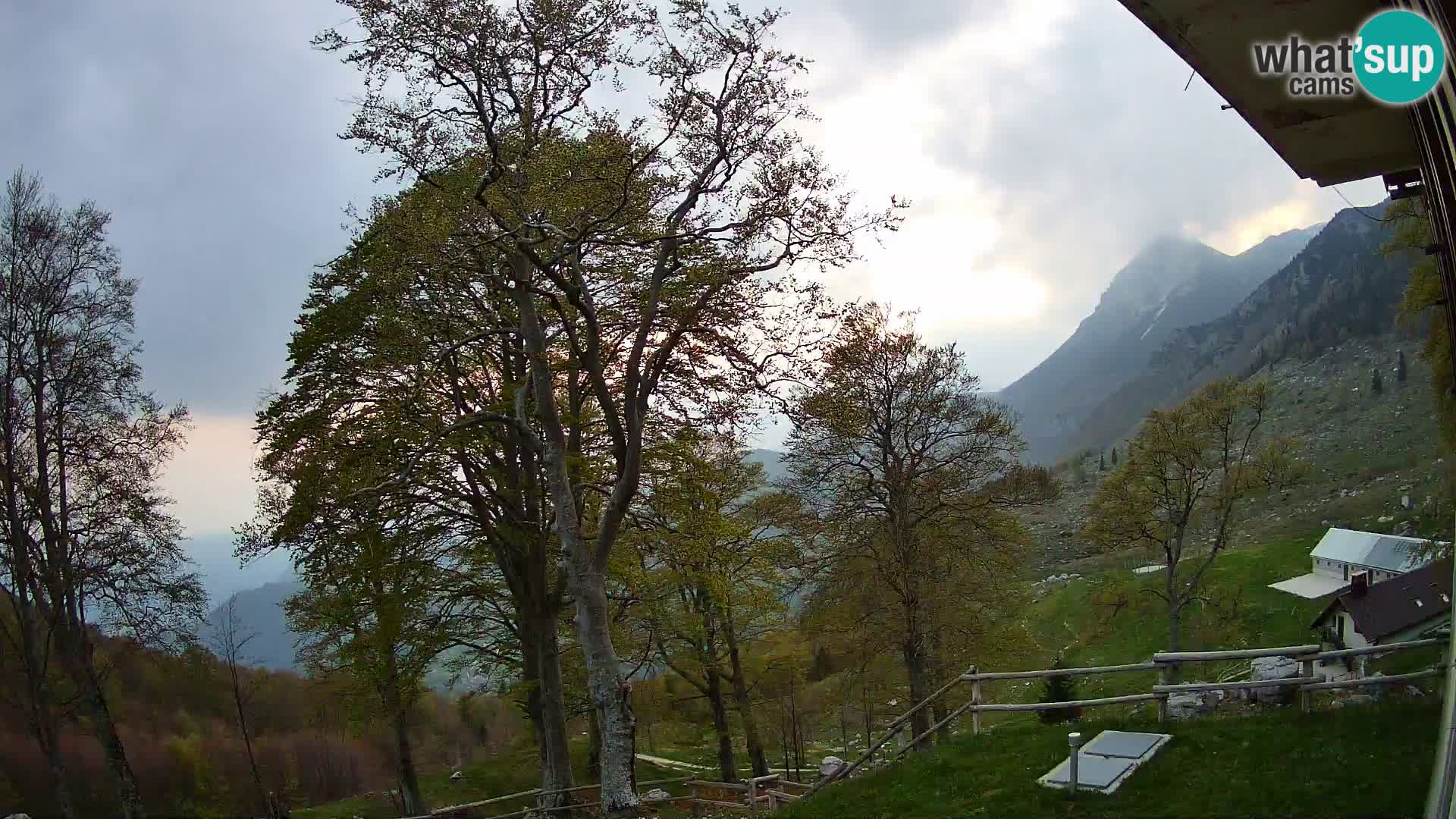Baita di montagna Planina Razor webcam (1315) | vista su Tolminski Migovec