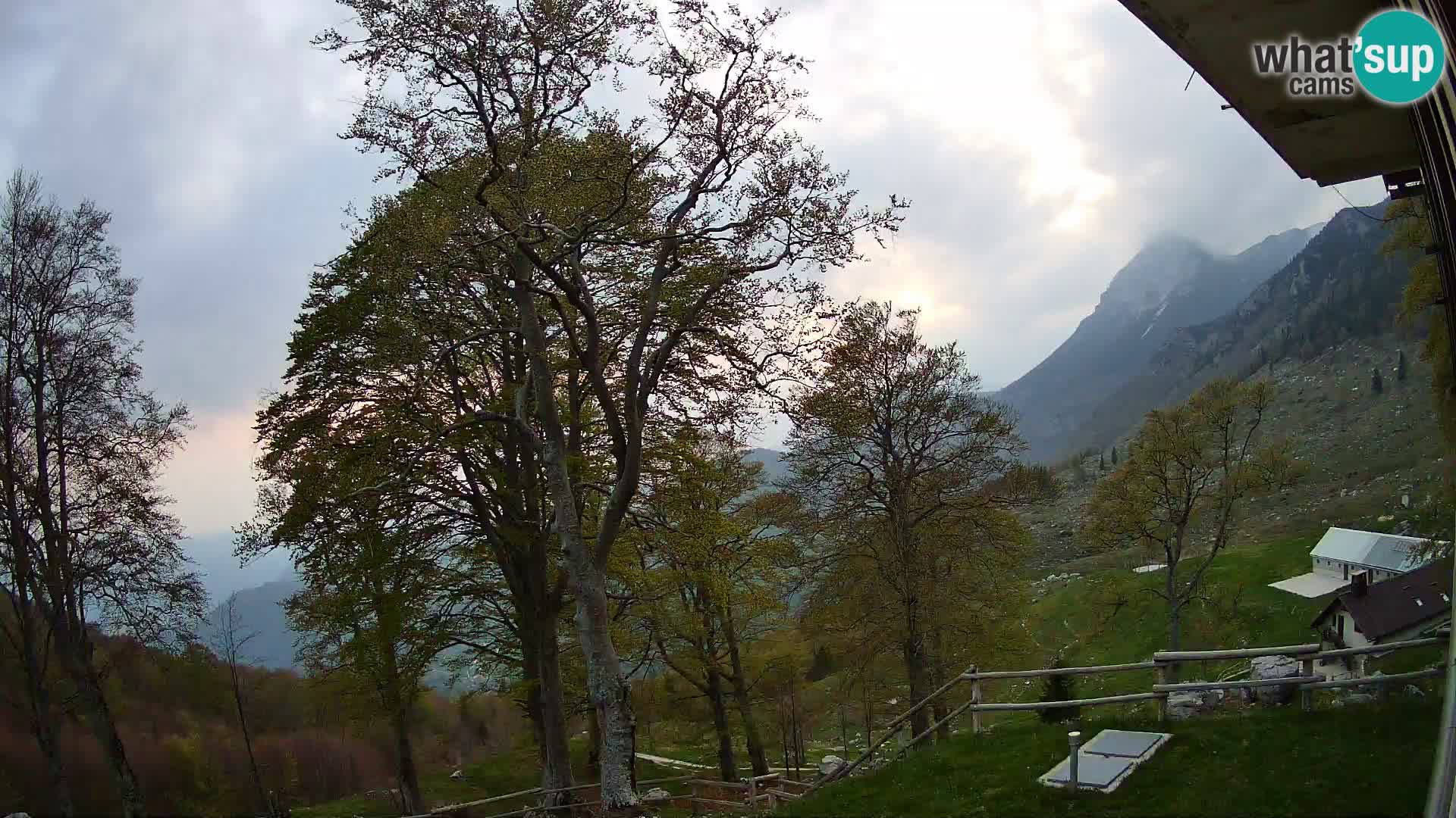 Baita di montagna Planina Razor webcam (1315) | vista su Tolminski Migovec