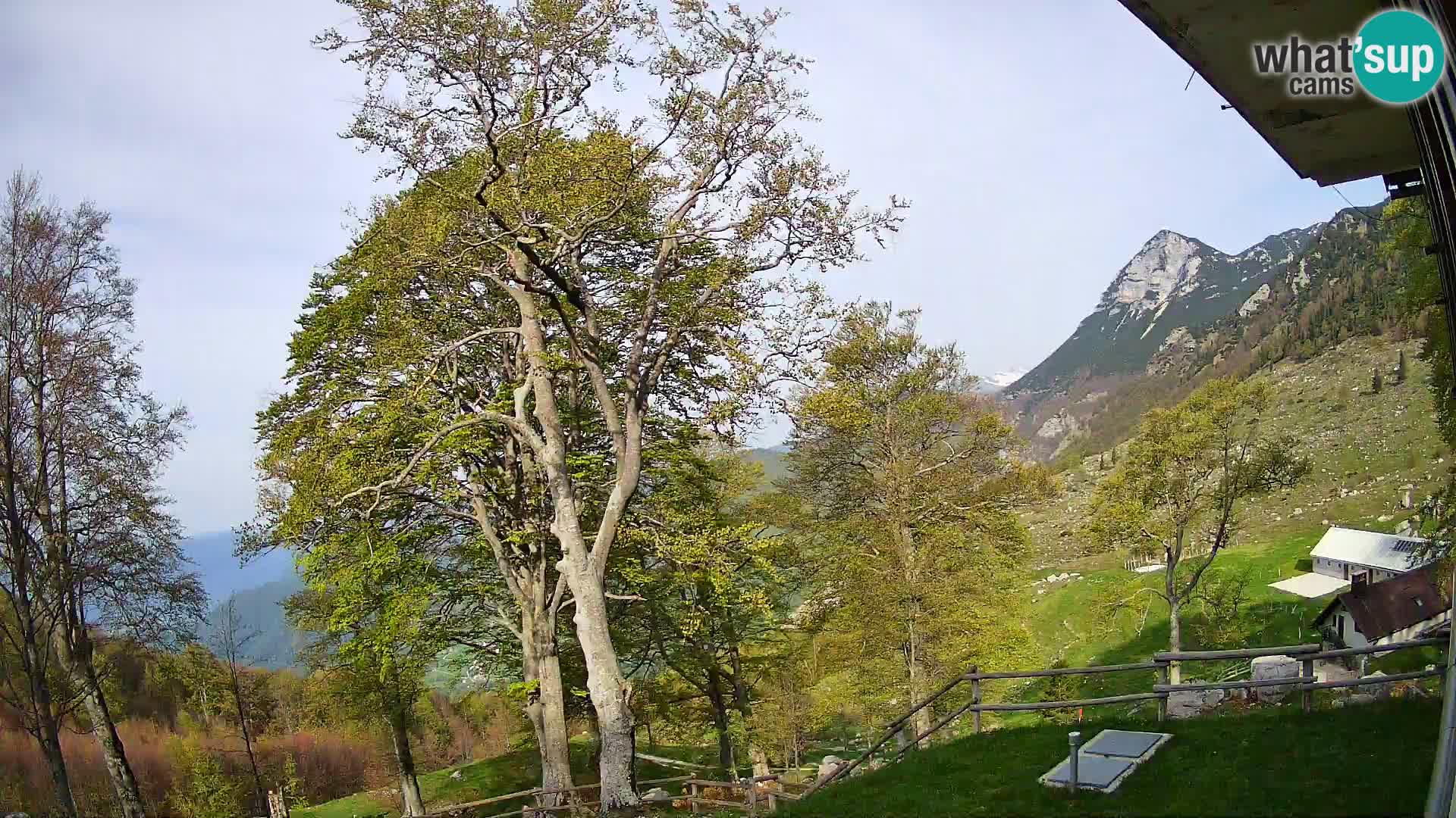 Planina Razor Mountain Hut live cam (1315) | view to Tolminski Migovec