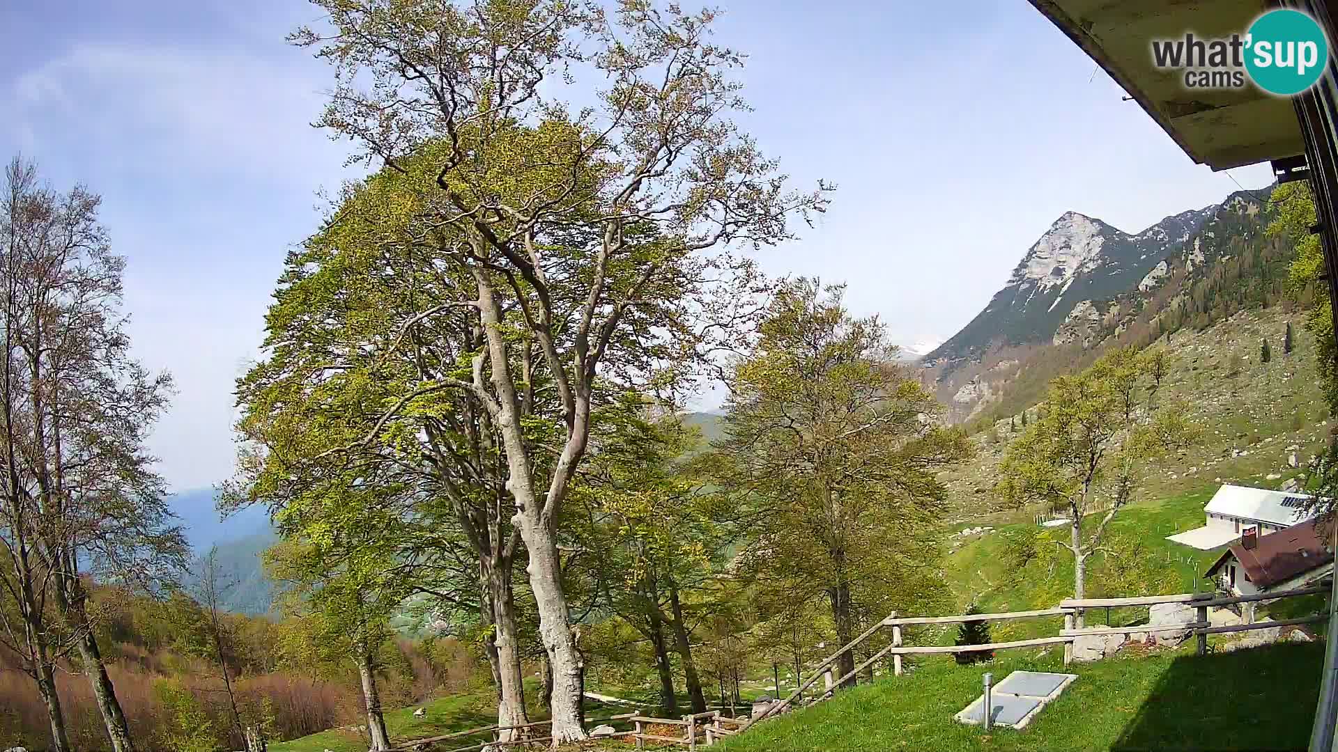 Baita di montagna Planina Razor webcam (1315) | vista su Tolminski Migovec