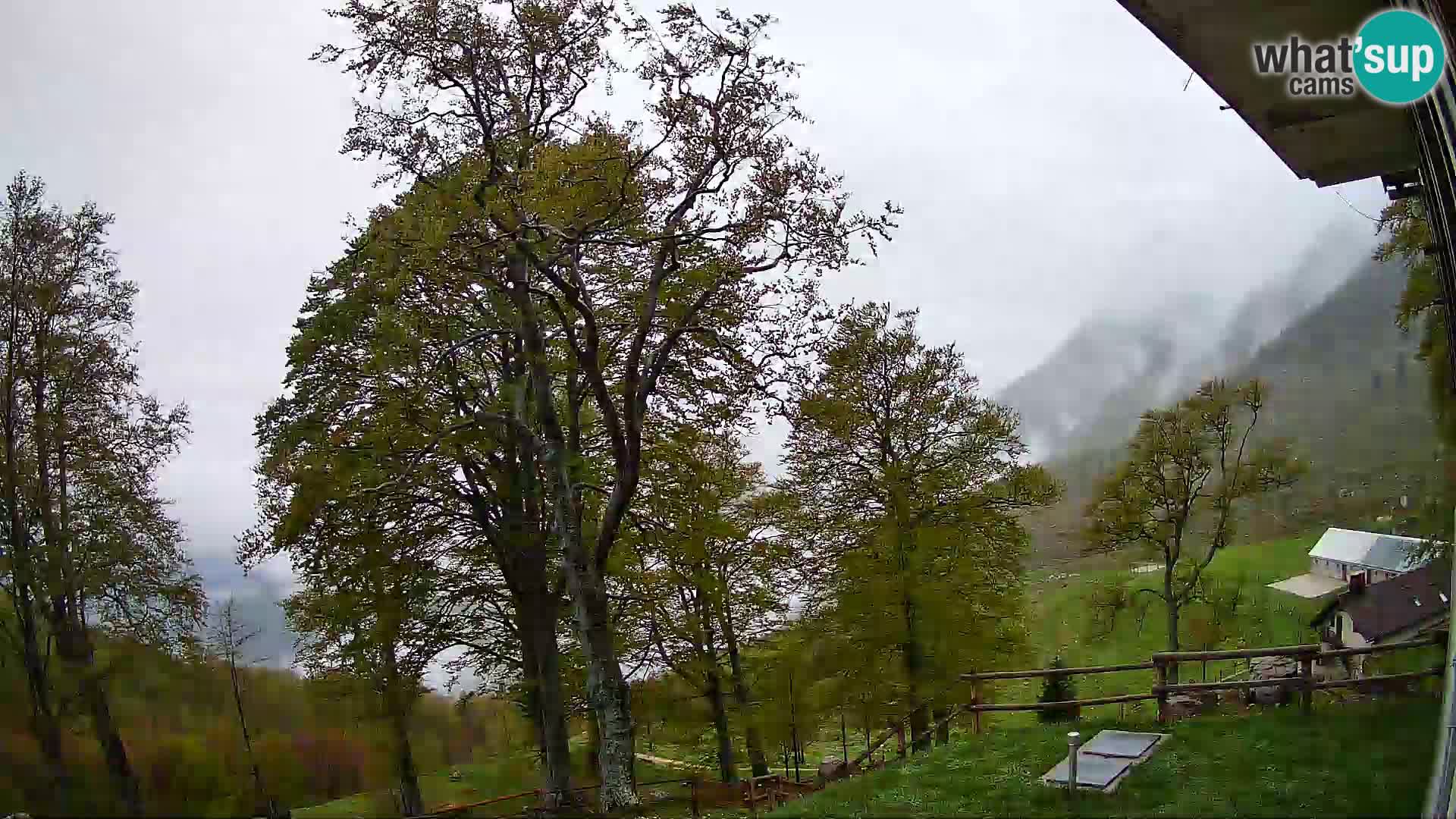 Baita di montagna Planina Razor webcam (1315) | vista su Tolminski Migovec