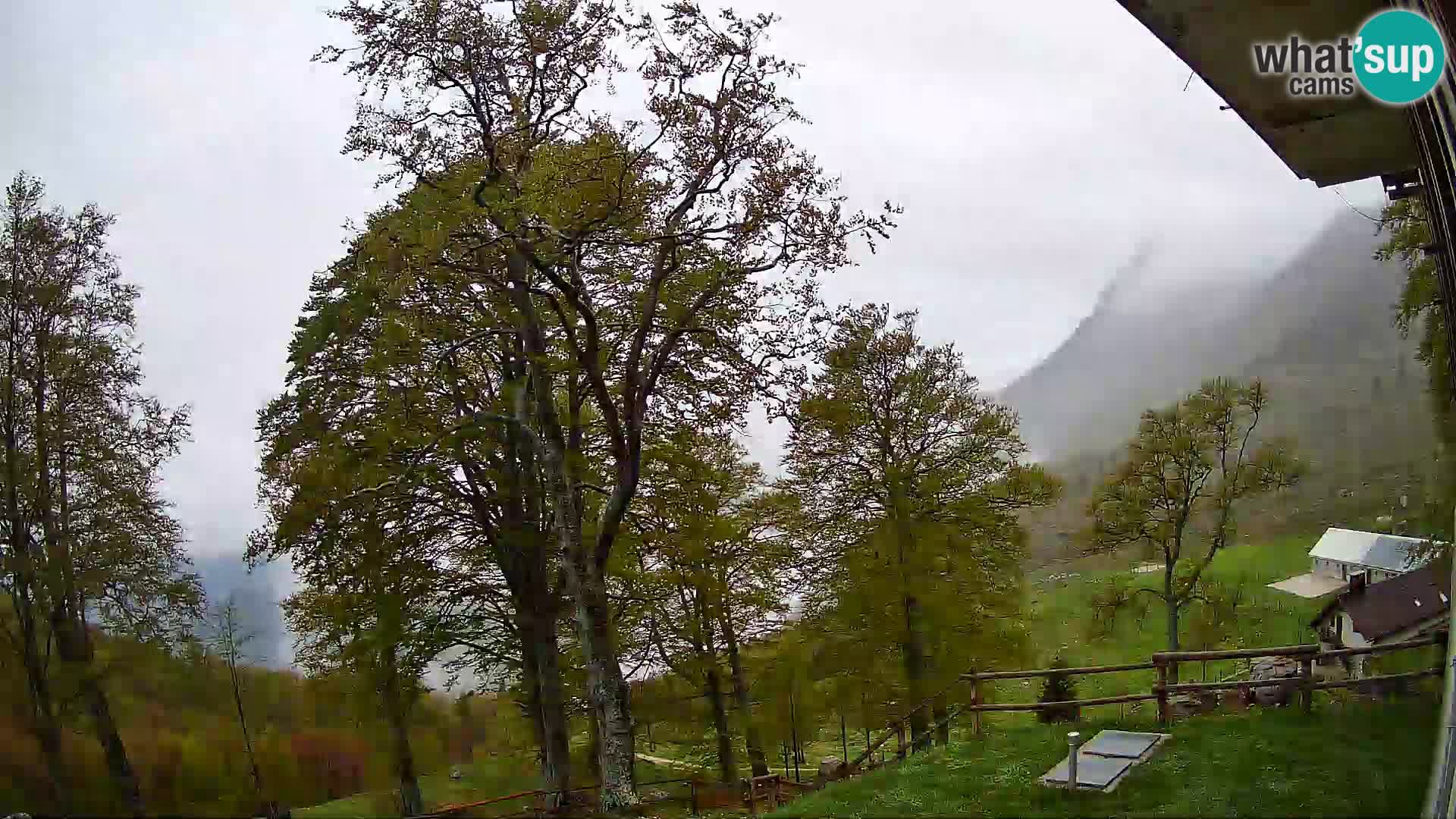 Baita di montagna Planina Razor webcam (1315) | vista su Tolminski Migovec