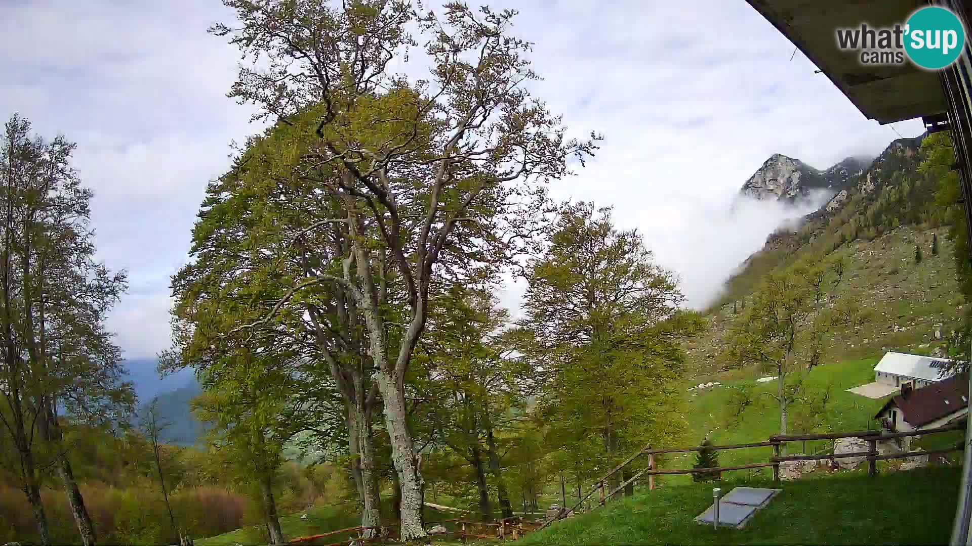 Planina Razor Bergütte Webcam (1315) | Blick auf Tolminski Migovec