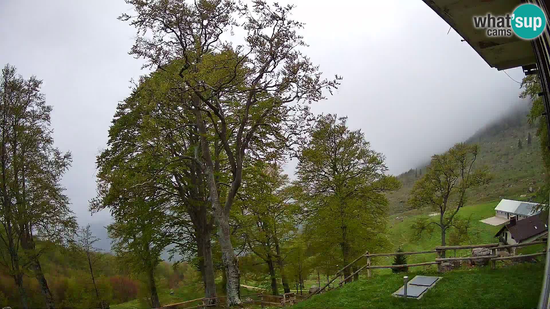 Baita di montagna Planina Razor webcam (1315) | vista su Tolminski Migovec