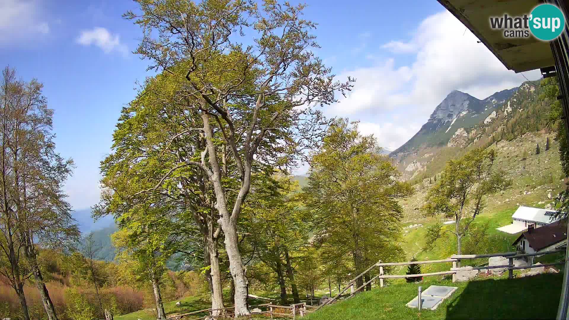 Baita di montagna Planina Razor webcam (1315) | vista su Tolminski Migovec