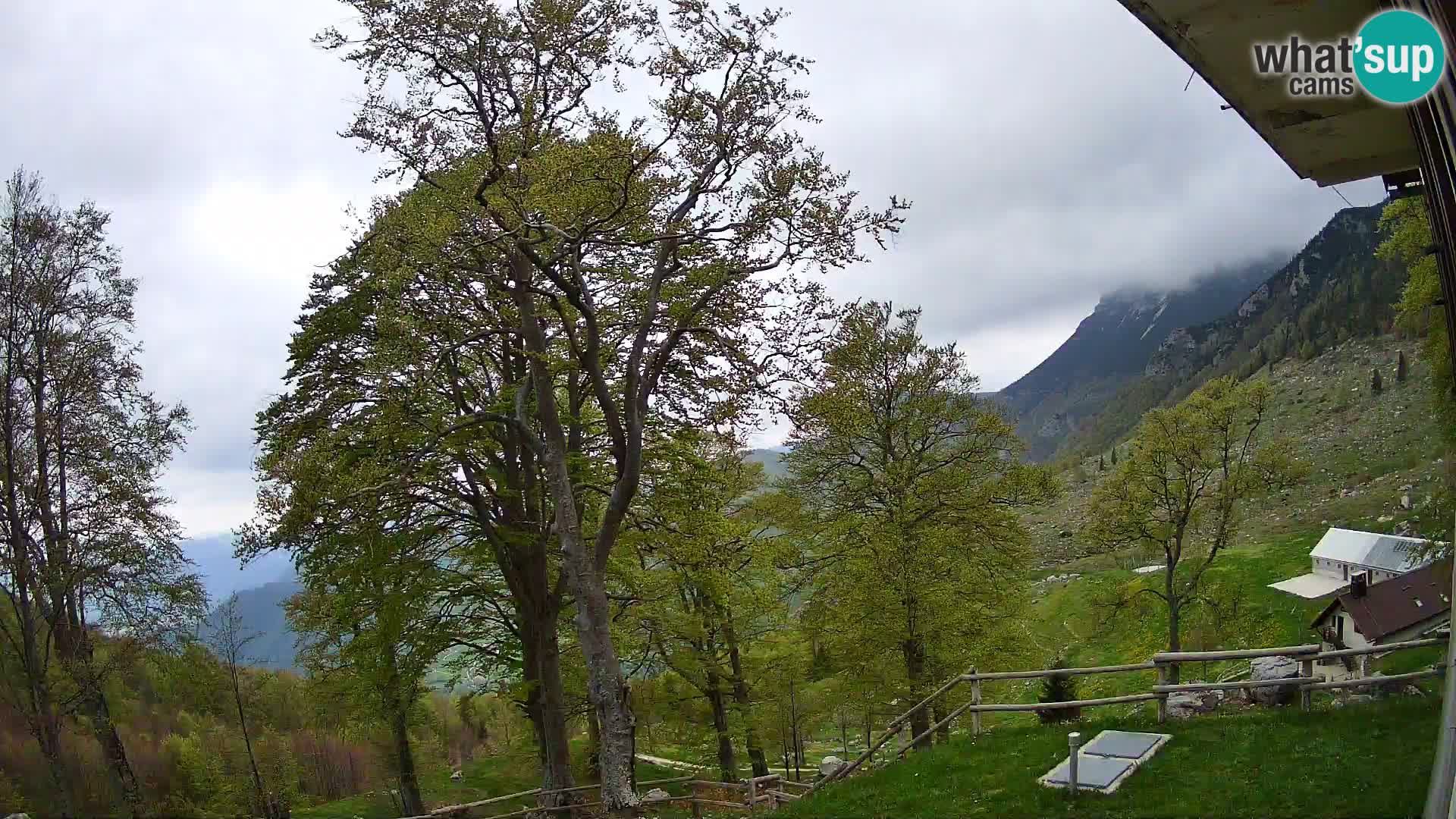 Planina Razor Mountain Hut live cam (1315) | view to Tolminski Migovec