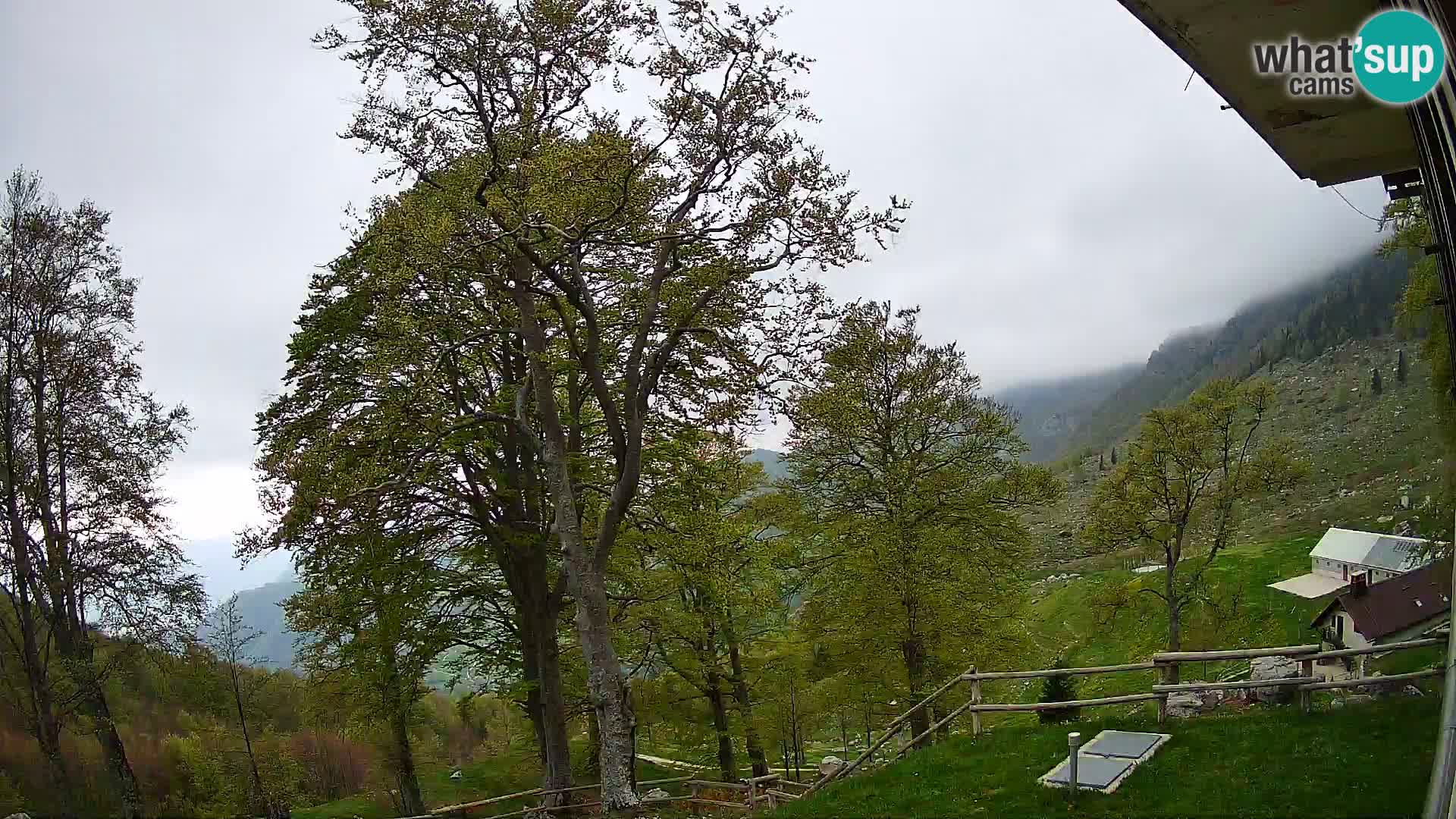 Planina Razor Bergütte Webcam (1315) | Blick auf Tolminski Migovec