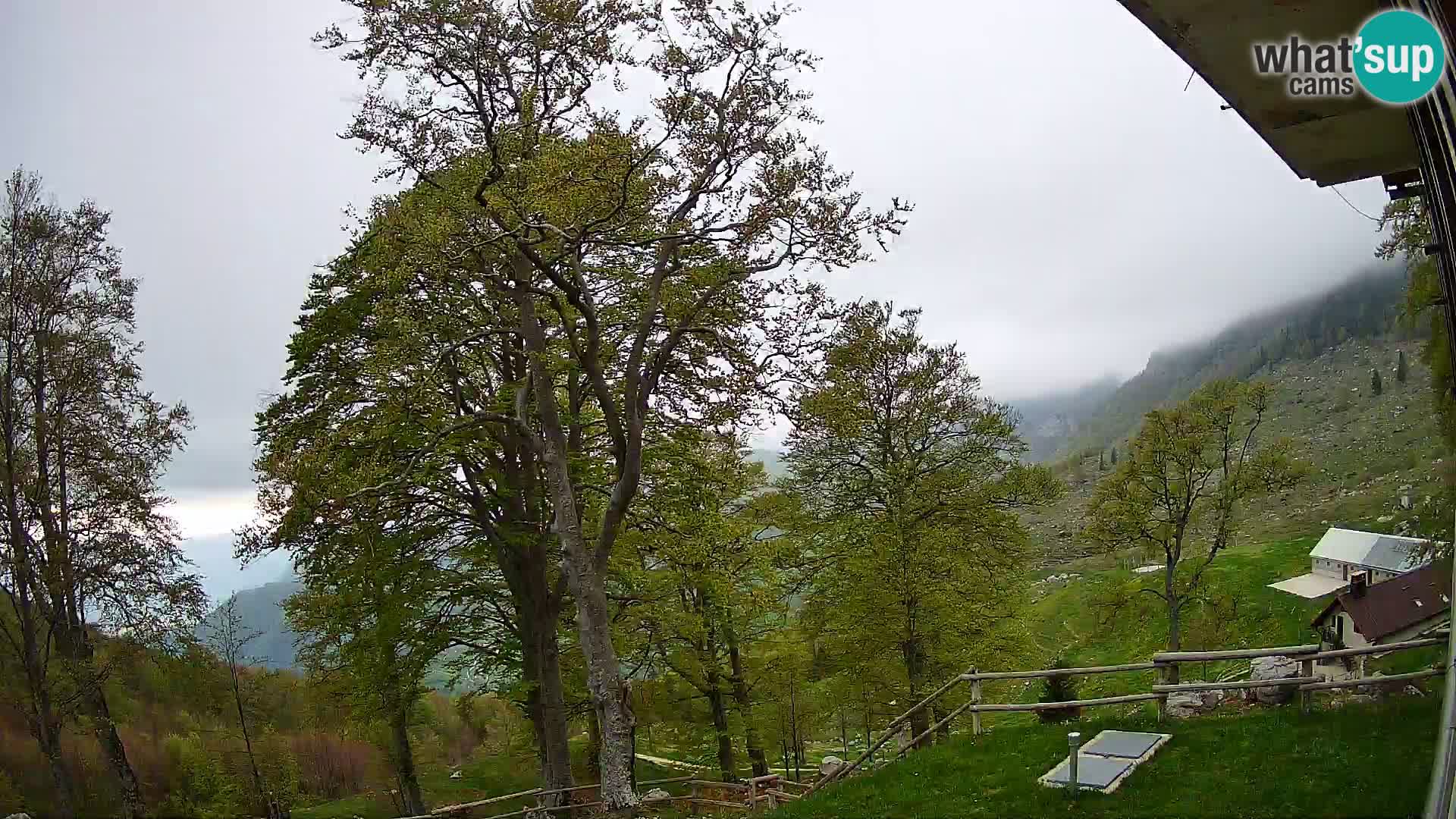 Koča na Planini Razor spletna kamera (1315) | Pogled na Tolminski Migovec
