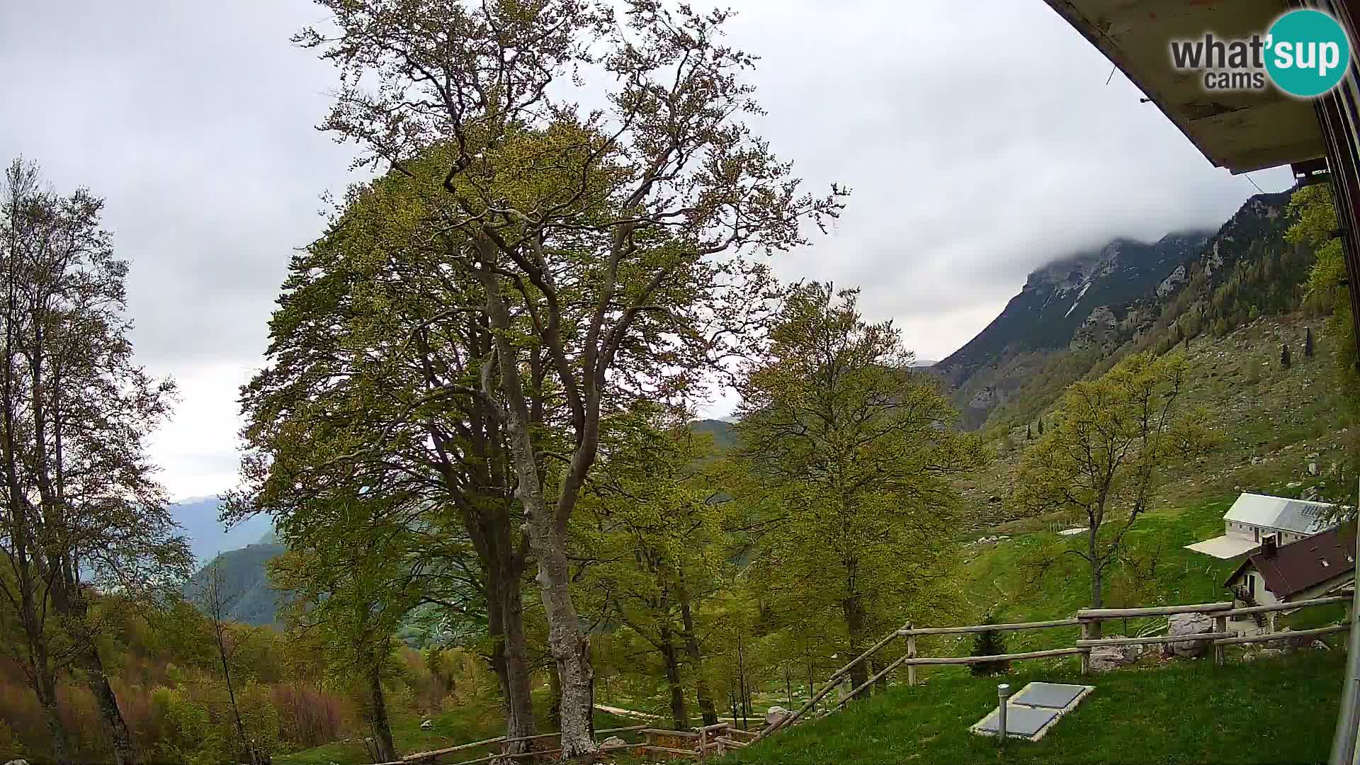 Cámara en vivo de la cabaña de montaña Planina Razor (1315) | vista hacia Tolminski Migovec