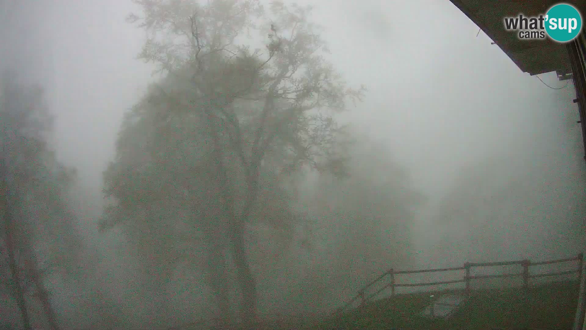 Planina Razor Bergütte Webcam (1315) | Blick auf Tolminski Migovec