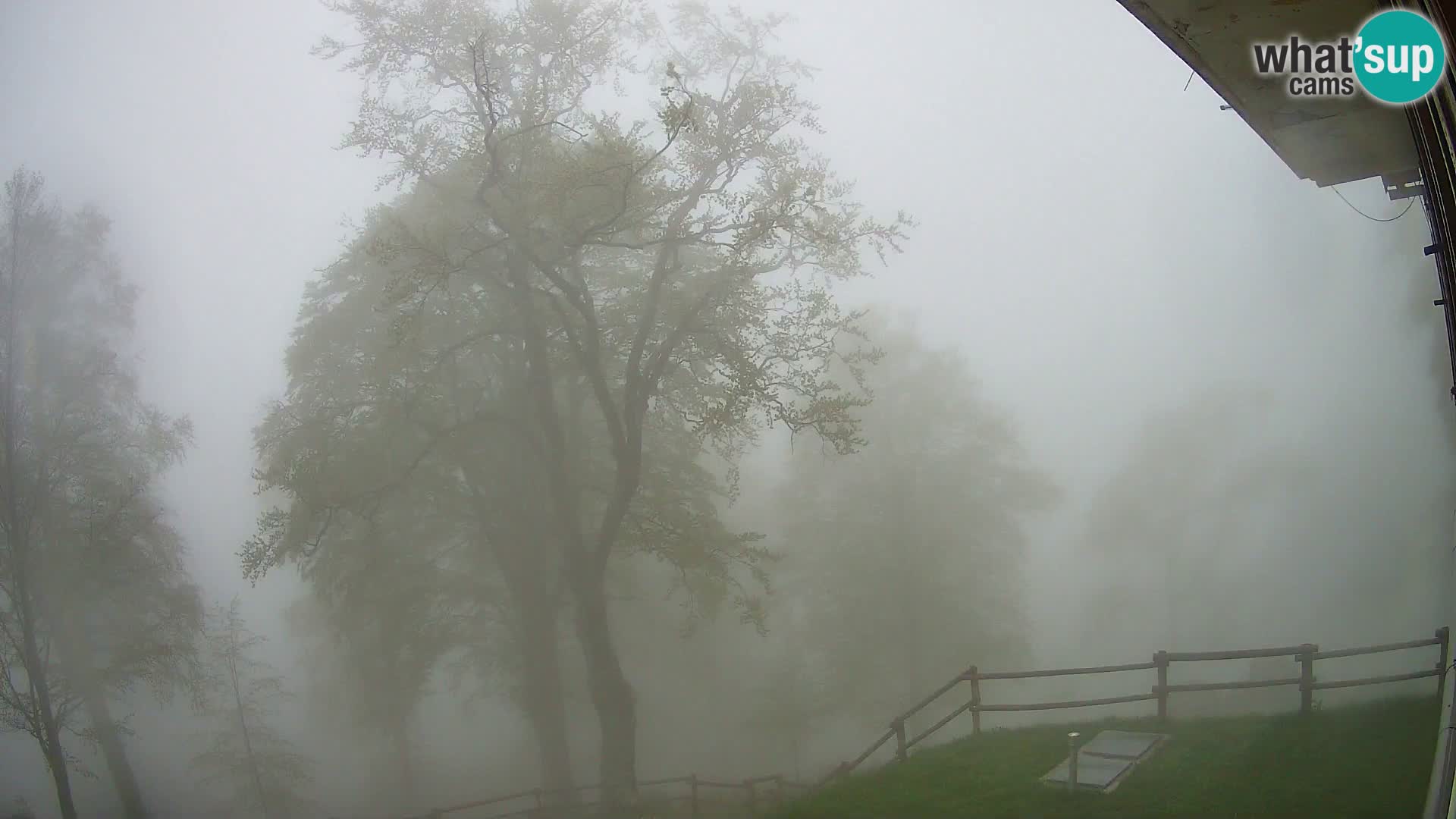 Planina Razor Mountain Hut live cam (1315) | view to Tolminski Migovec