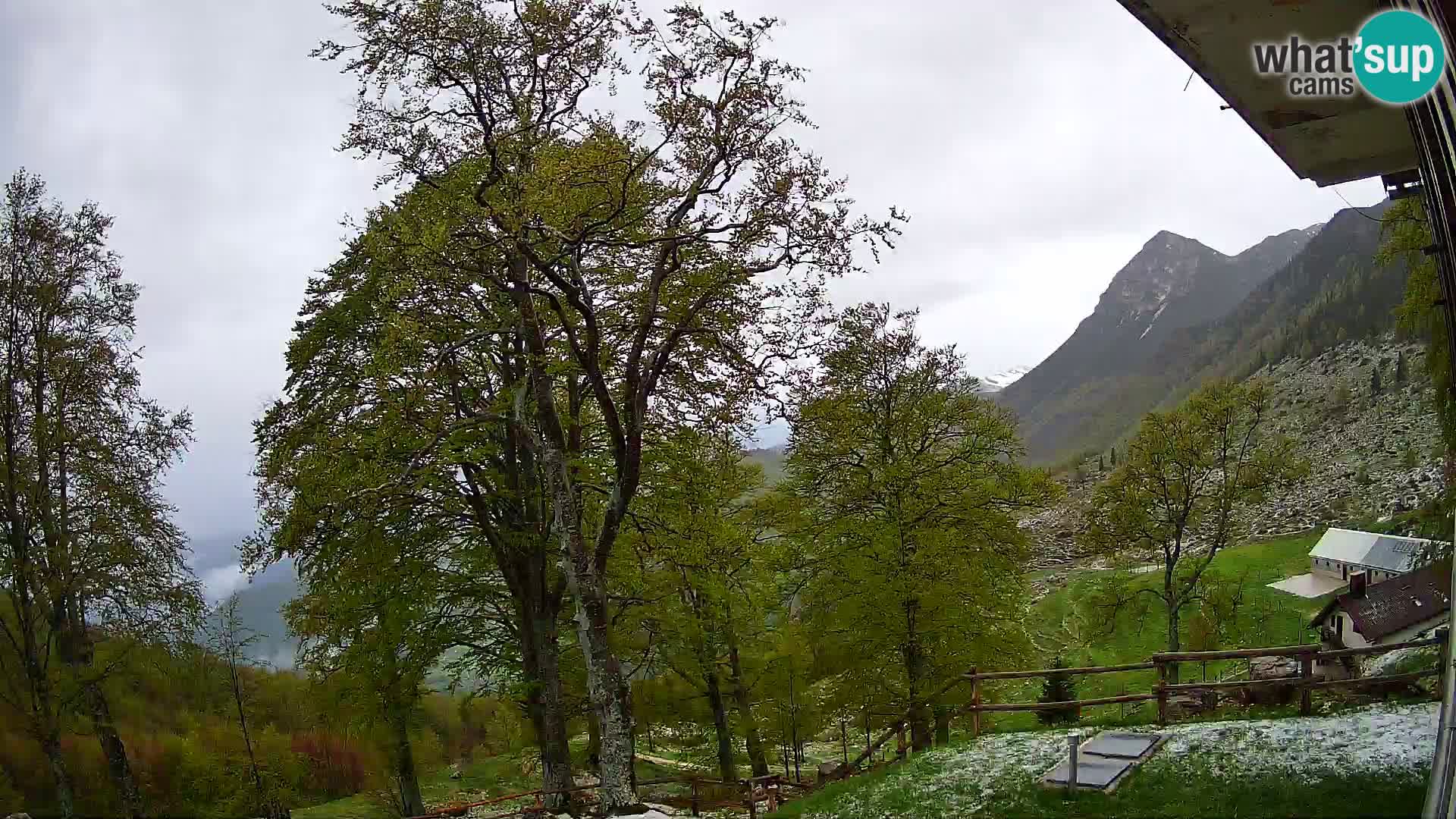 Planina Razor Bergütte Webcam (1315) | Blick auf Tolminski Migovec