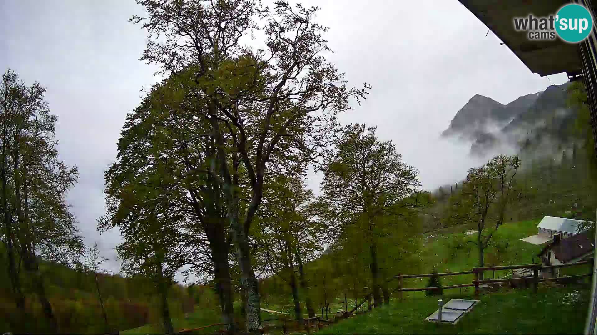 Refuge de la montagne Planina Razor caméra en direct (1315) | vue sur Tolminski Migovec