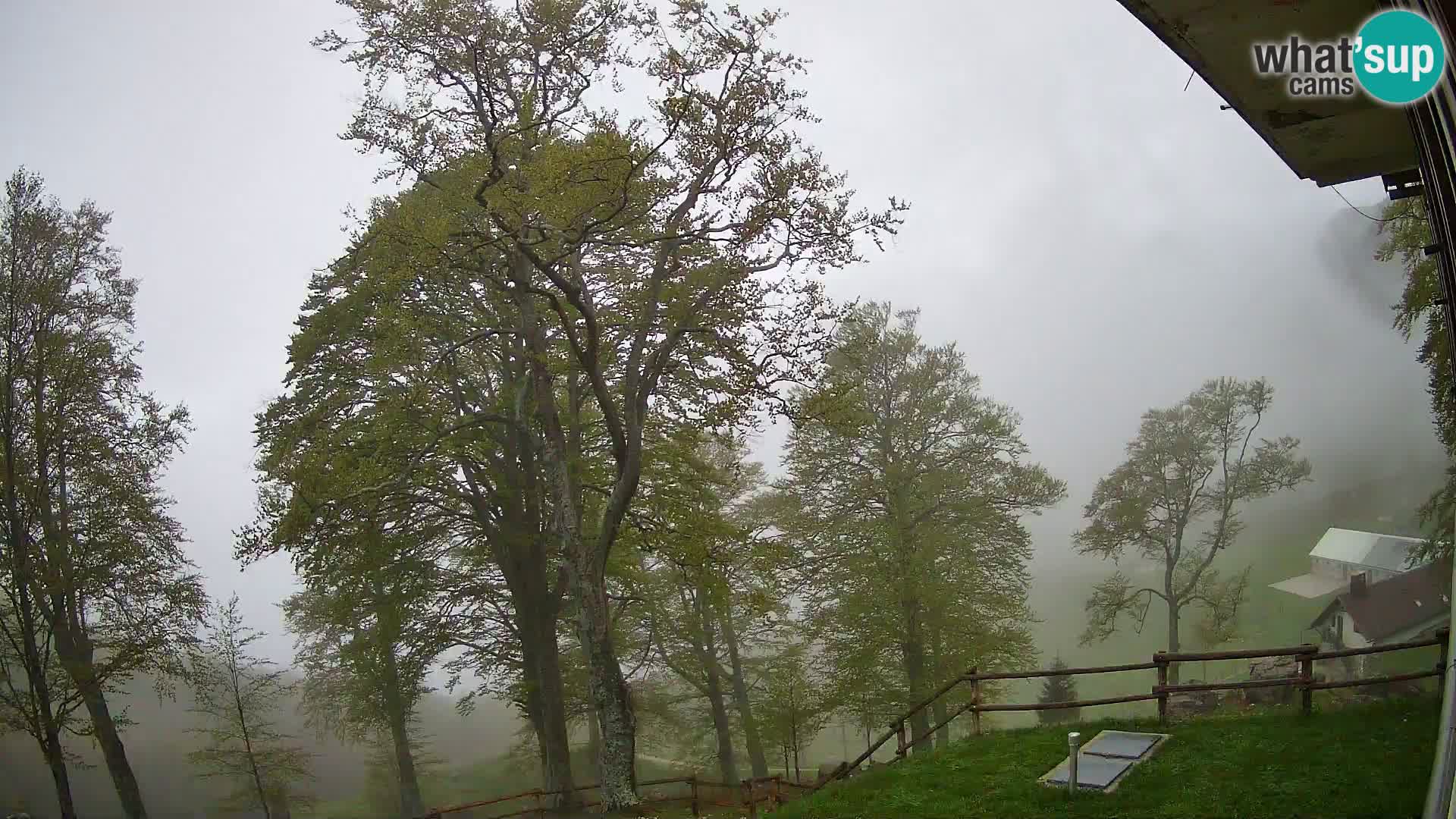 Cámara en vivo de la cabaña de montaña Planina Razor (1315) | vista hacia Tolminski Migovec