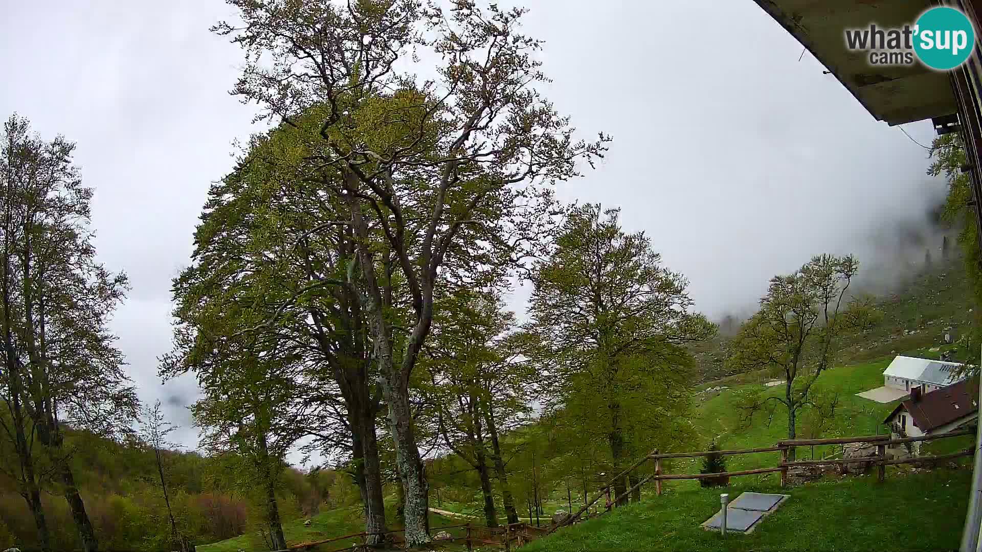 Baita di montagna Planina Razor webcam (1315) | vista su Tolminski Migovec