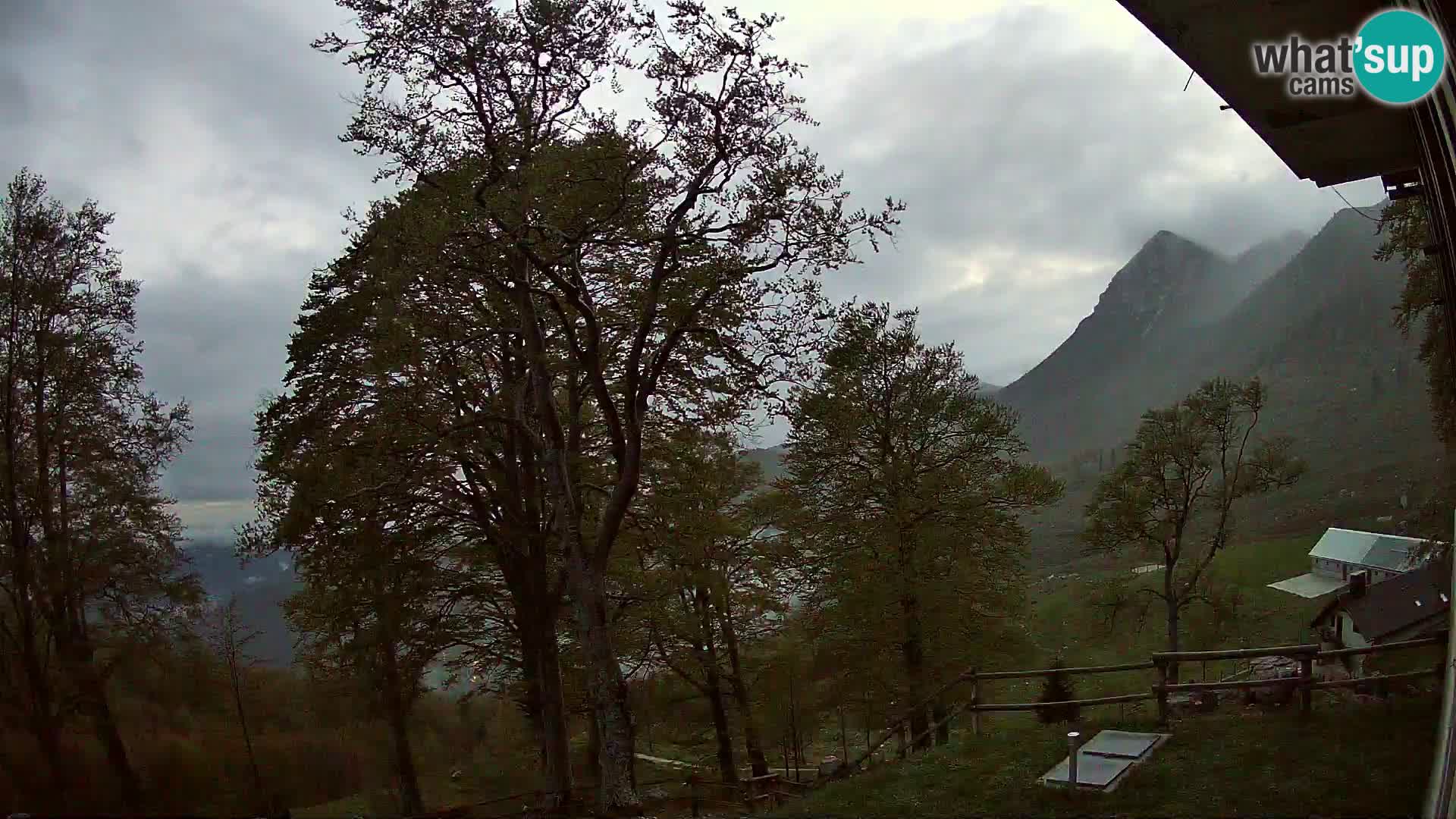 Planina Razor Bergütte Webcam (1315) | Blick auf Tolminski Migovec