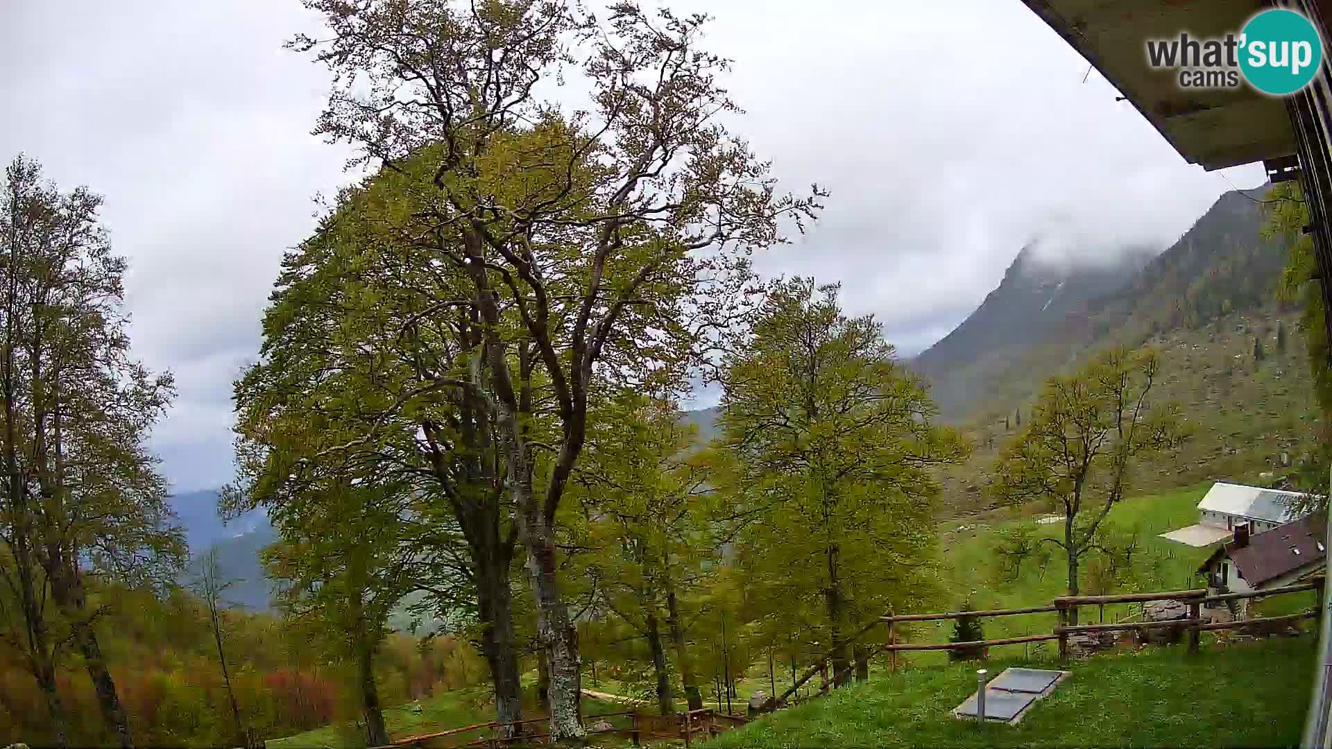 Planina Razor Mountain Hut live cam (1315) | view to Tolminski Migovec