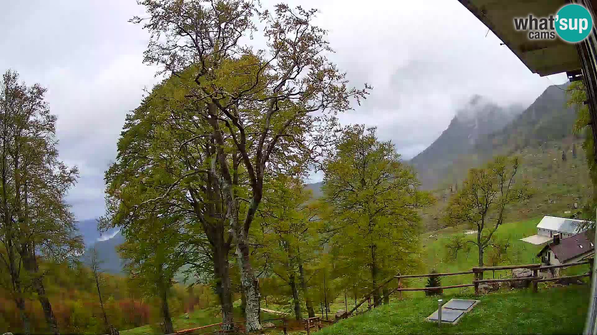 Planina Razor Bergütte Webcam (1315) | Blick auf Tolminski Migovec
