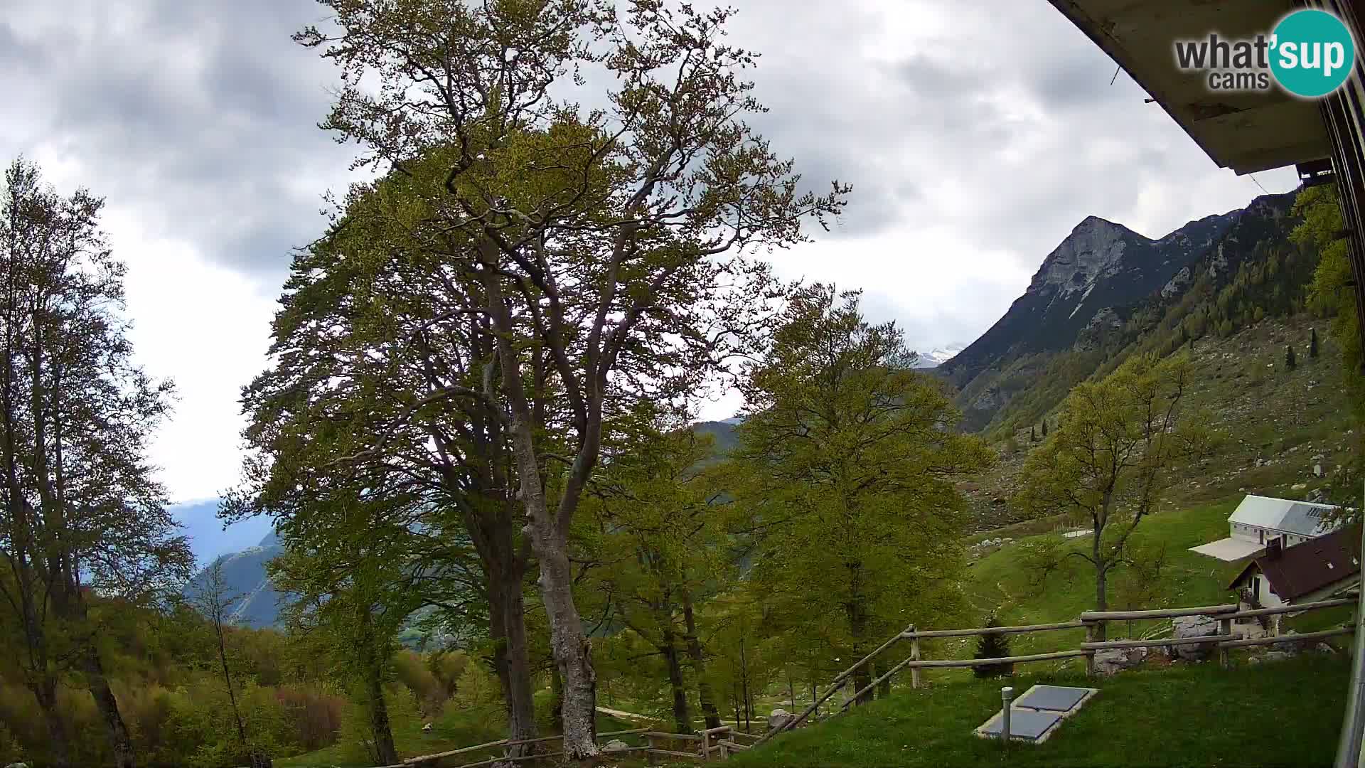 Planina Razor Mountain Hut live cam (1315) | view to Tolminski Migovec