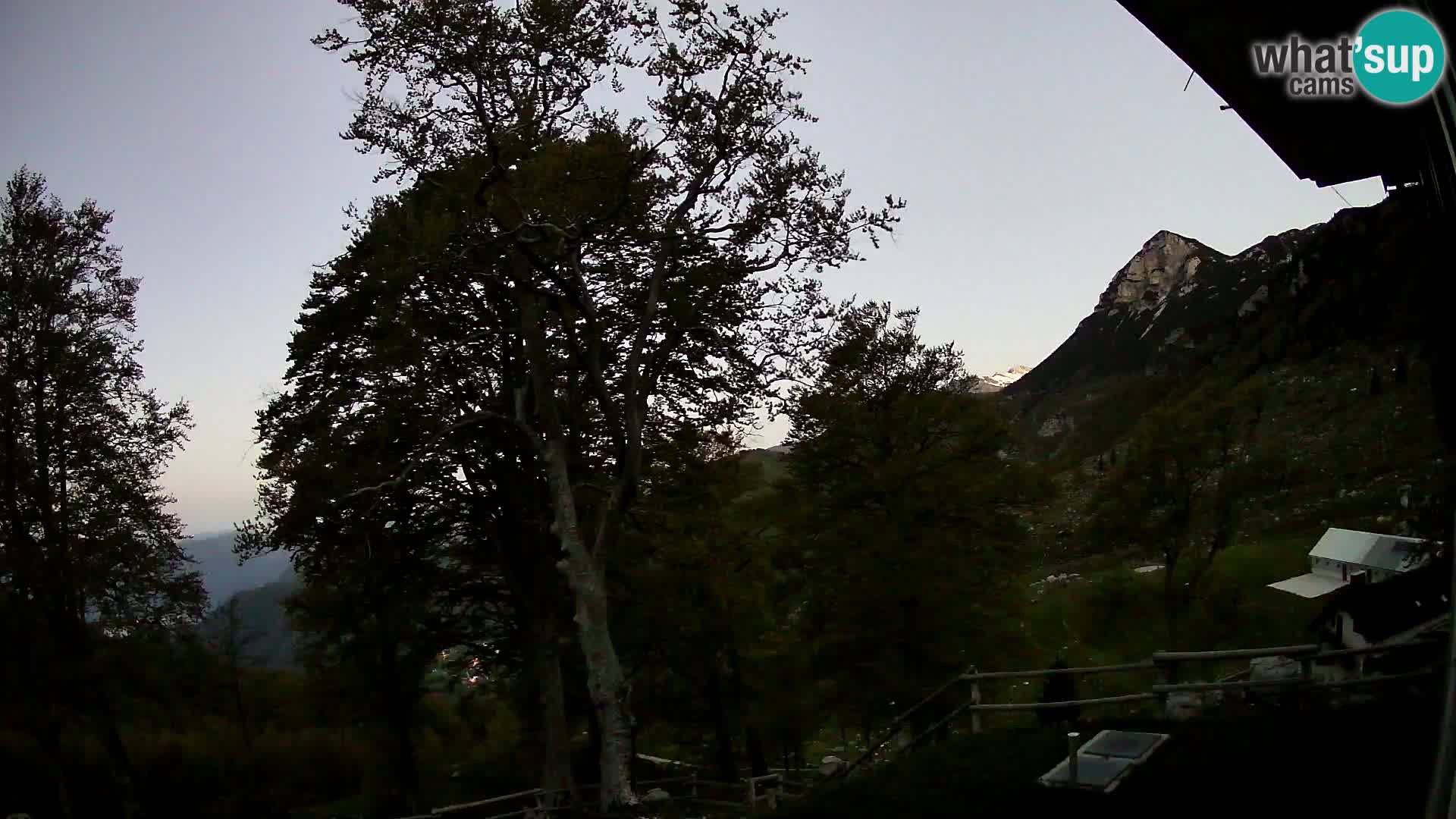 Baita di montagna Planina Razor webcam (1315) | vista su Tolminski Migovec