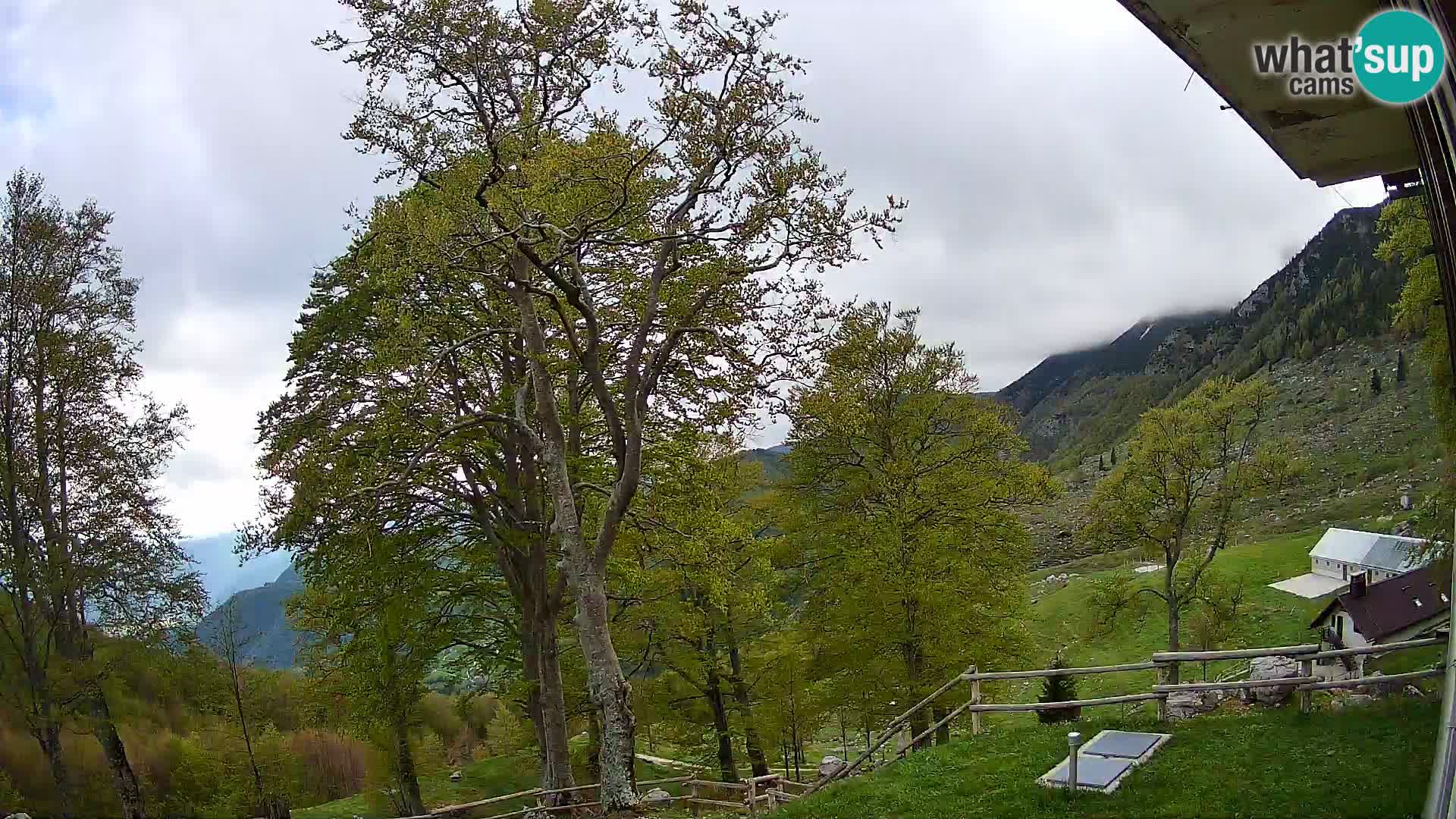 Baita di montagna Planina Razor webcam (1315) | vista su Tolminski Migovec