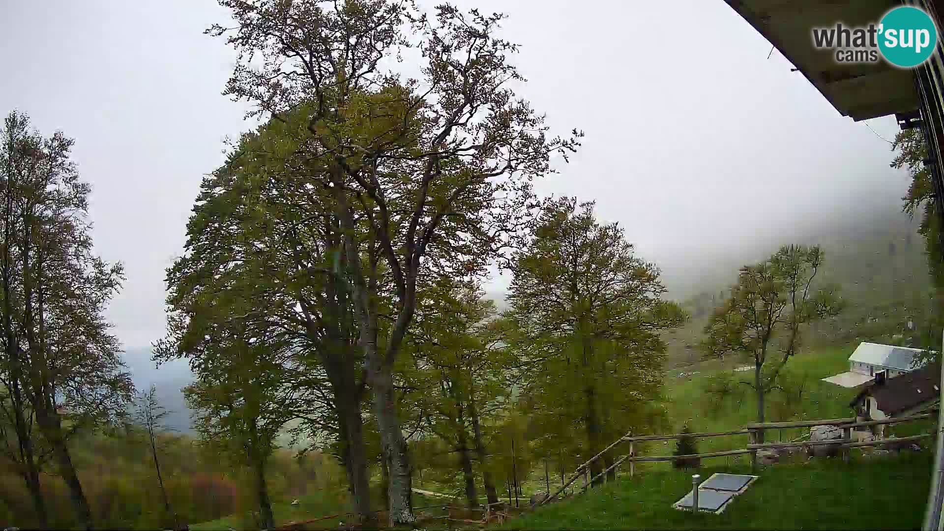 Planina Razor Mountain Hut live cam (1315) | view to Tolminski Migovec