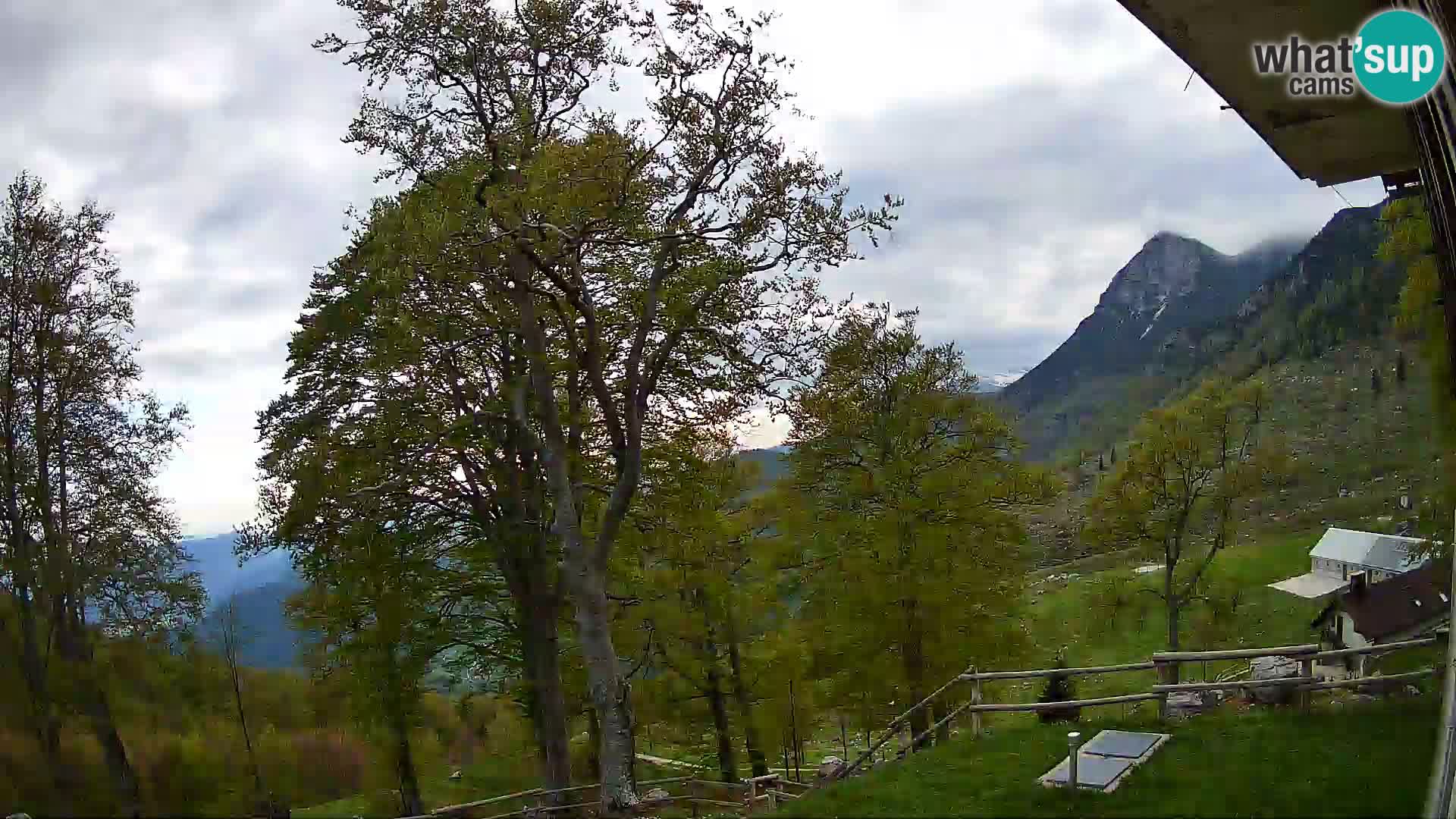 Koča na Planini Razor spletna kamera (1315) | Pogled na Tolminski Migovec